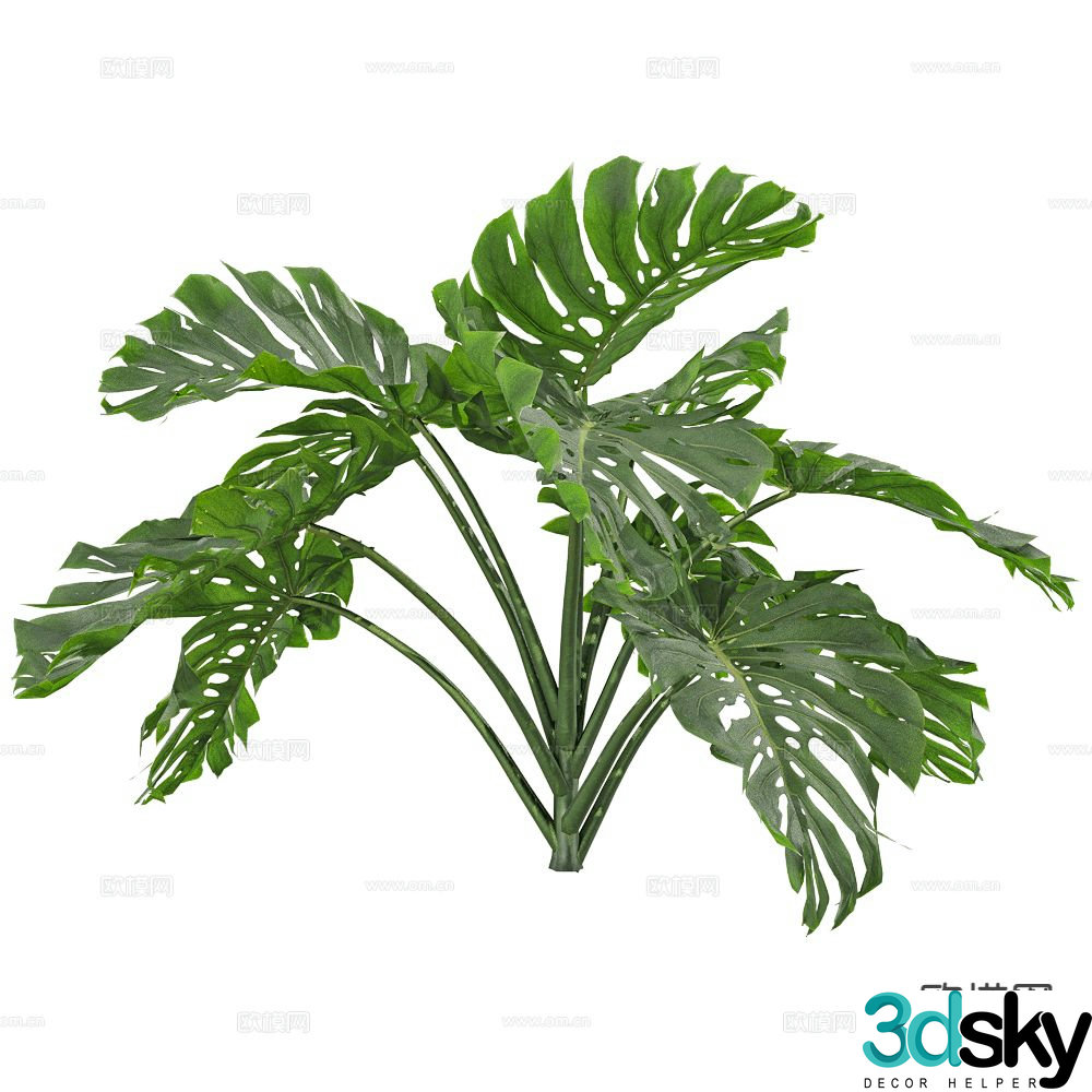 banana tree landscape tree shrub plant 3d model