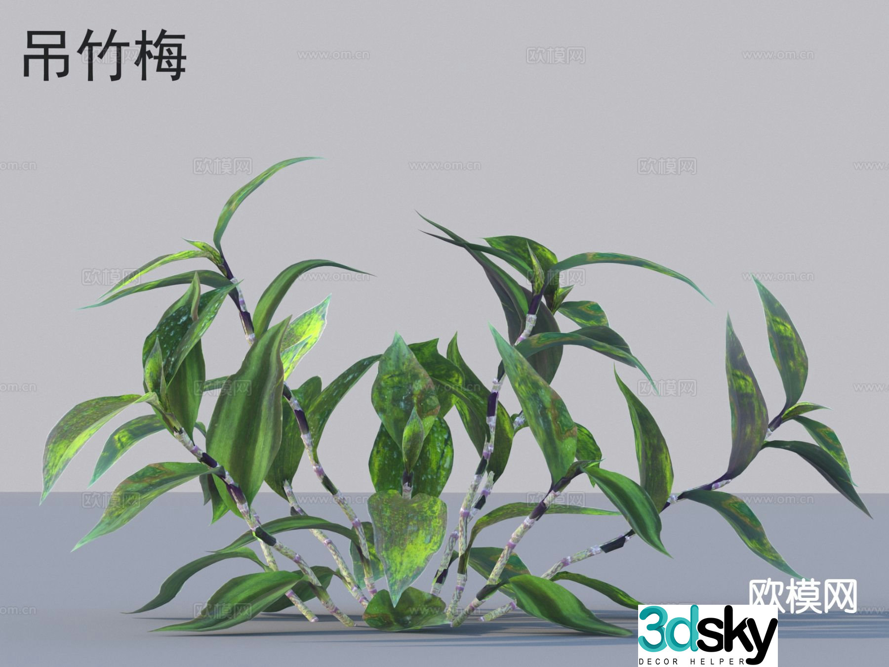 3D model of hanging bamboo and plum flowers and plants
