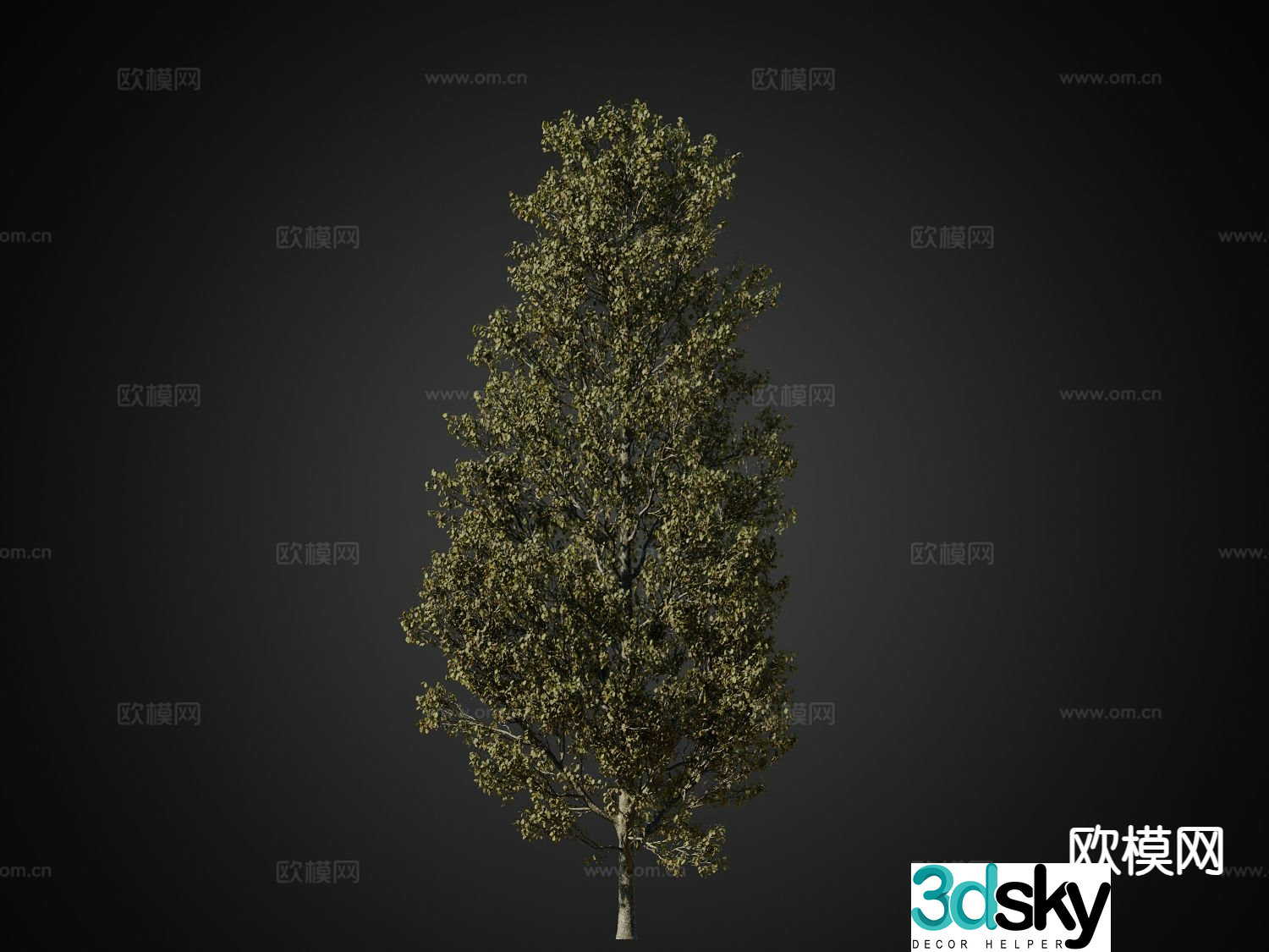 Autumn trees Landscape trees Trees 3d model