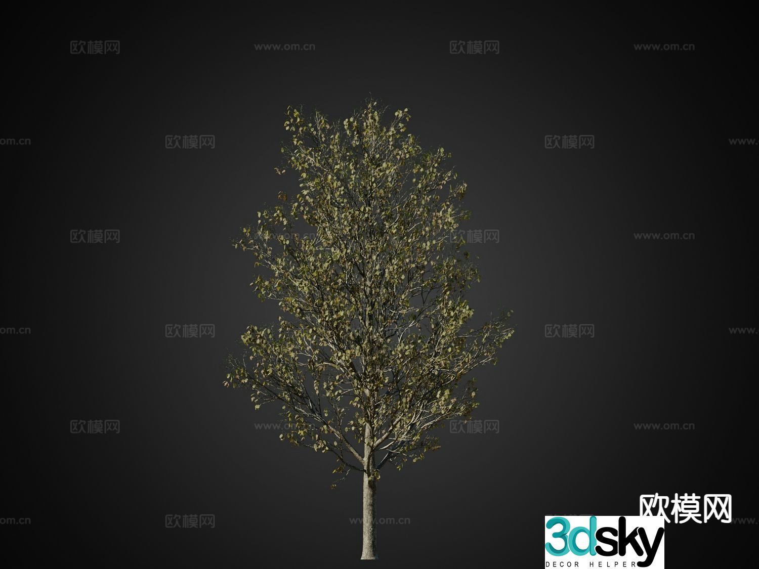 Autumn trees Landscape trees Trees 3d model
