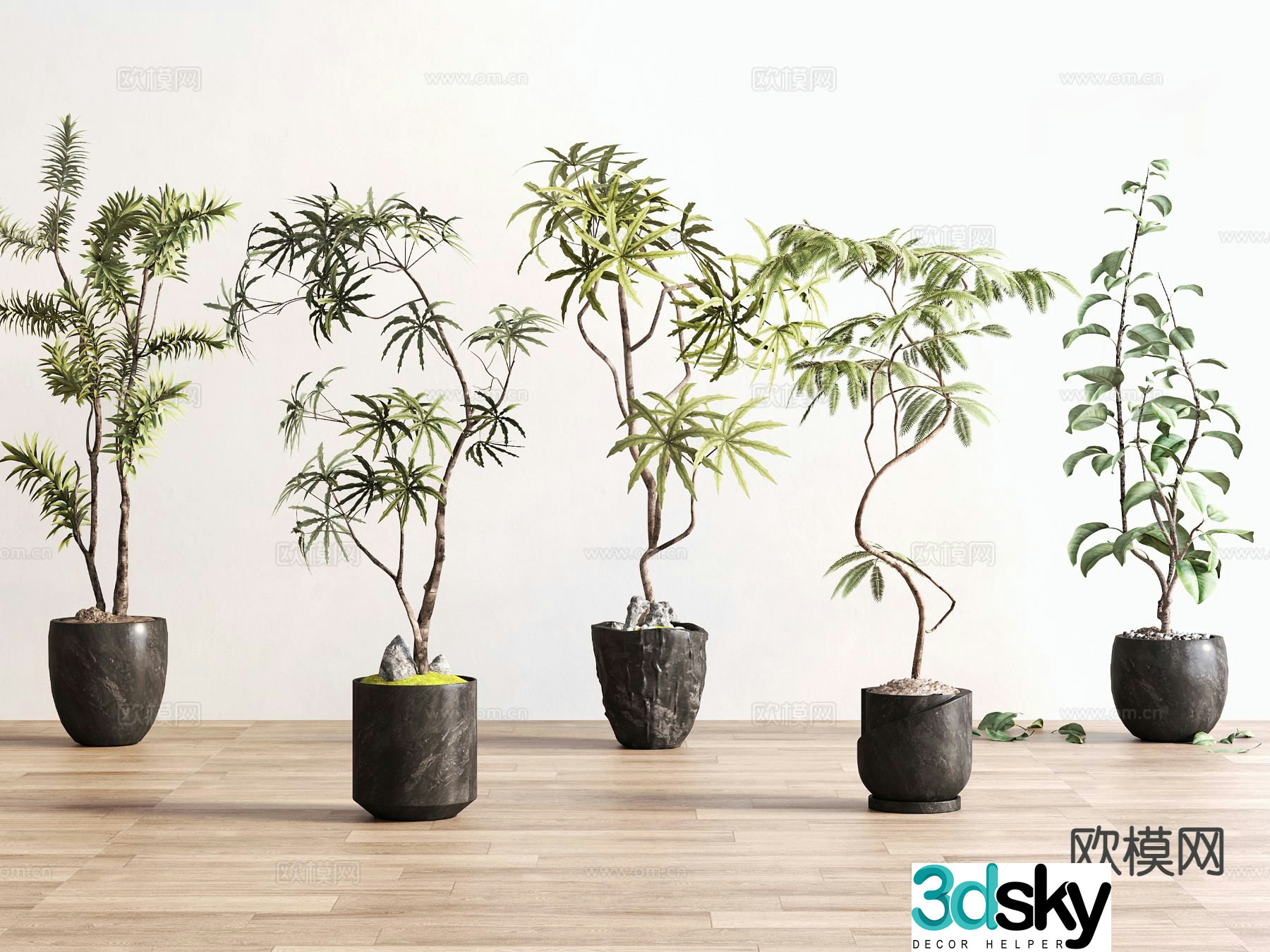 Houseplant green plant potted plant 3d model