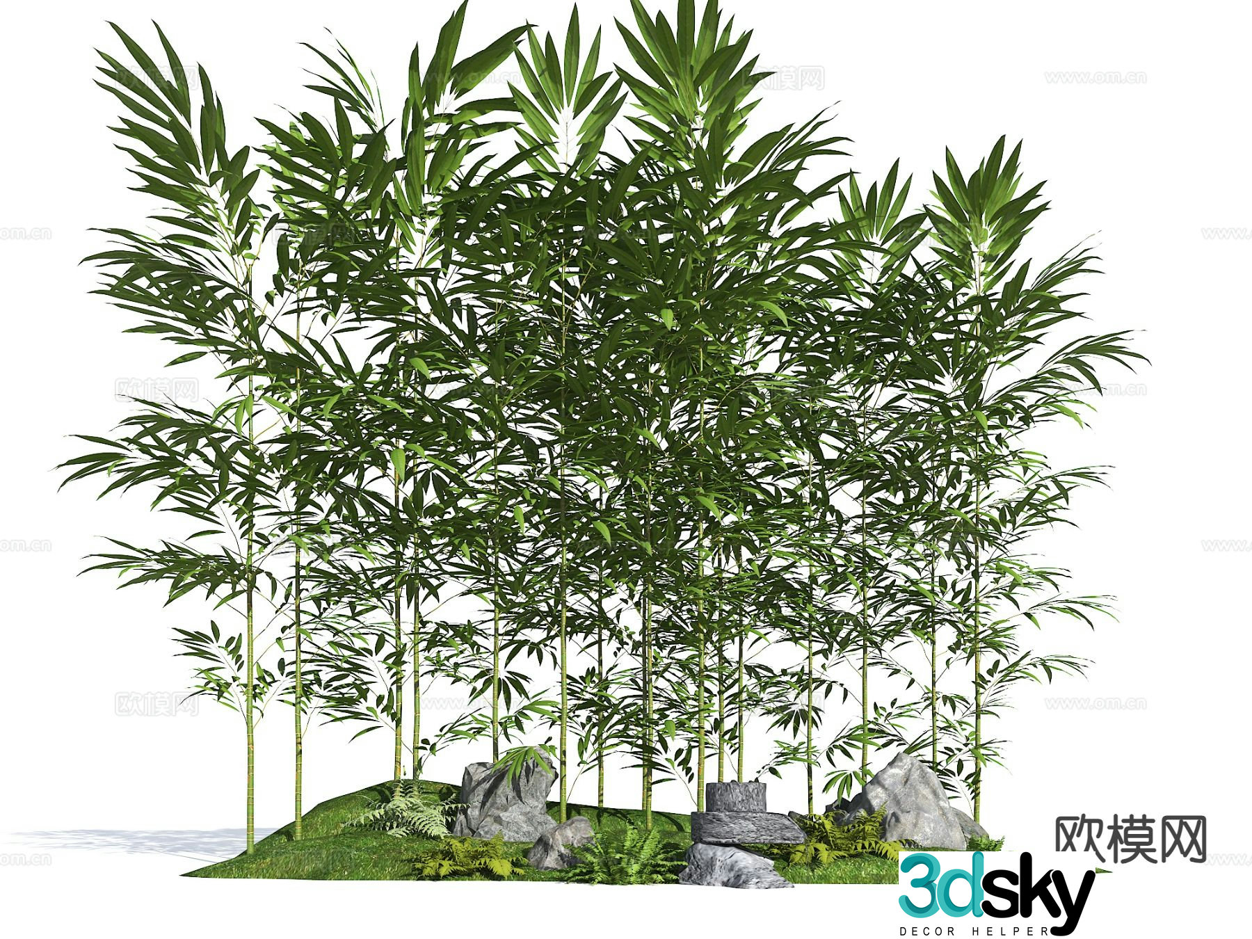 Bamboo Landscape Bamboo Arhat Bamboo Xiangfei Bamboo Green Bamboo Bamboo Forest 3D Model