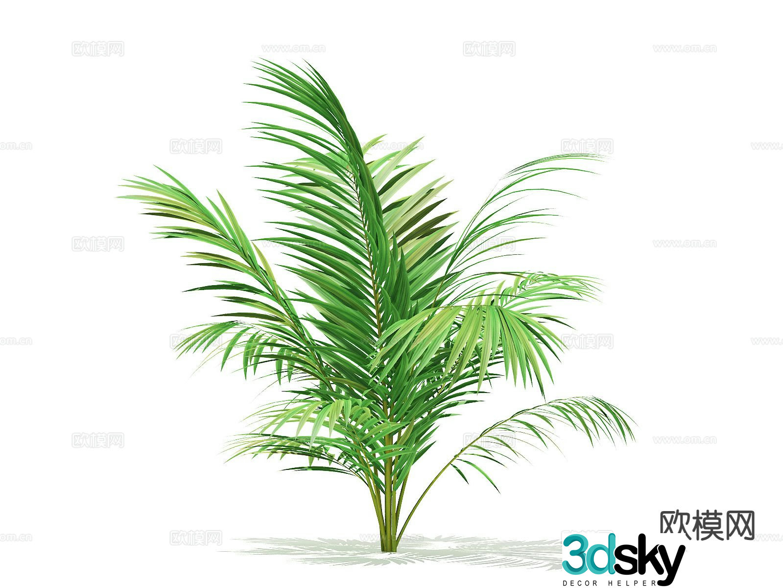 Flowers and plants green plants shrubs 3D model