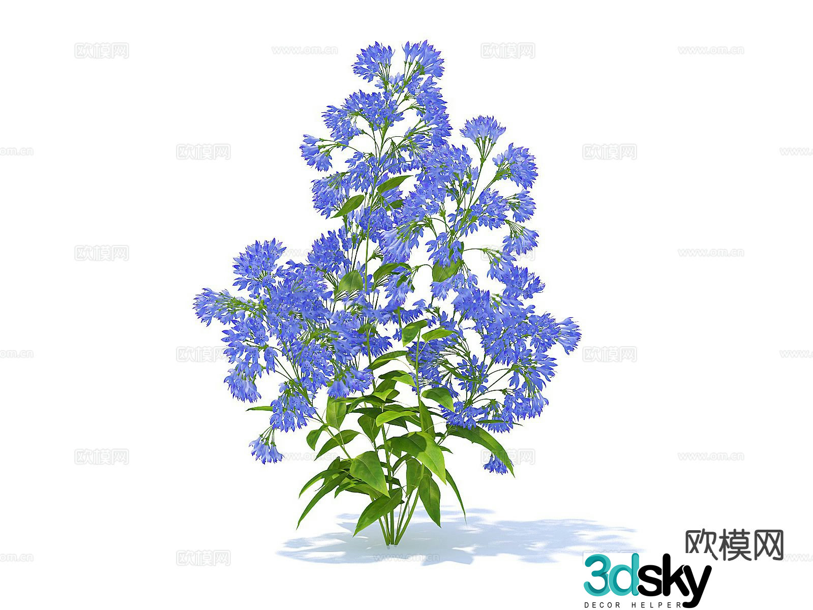 Flowers flowers plants green plants 3d model