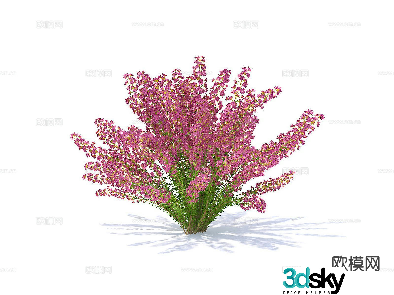 Flowers Flowers and plants Flowers 3d model