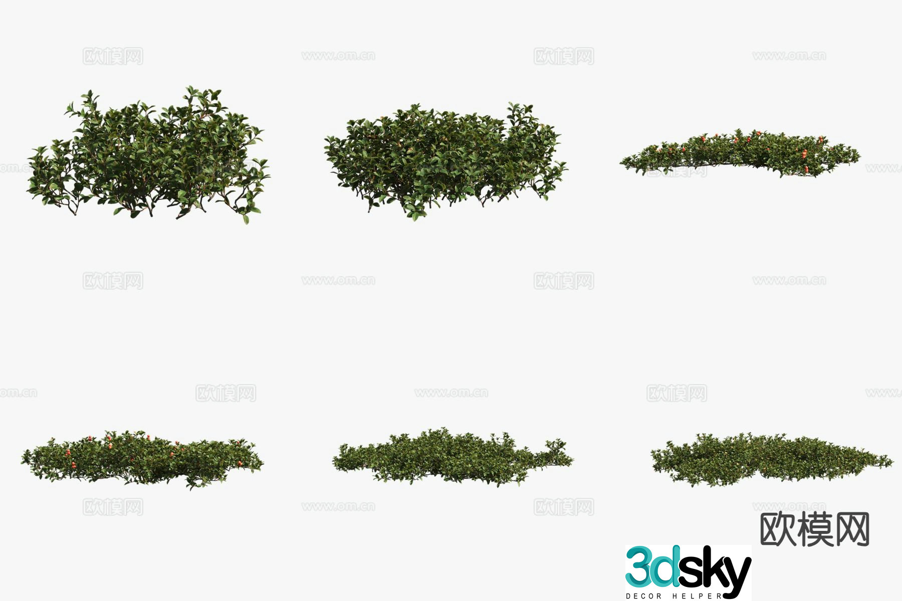 Bear fruit Bear grapes Flowers and plants Shrubs 3d model