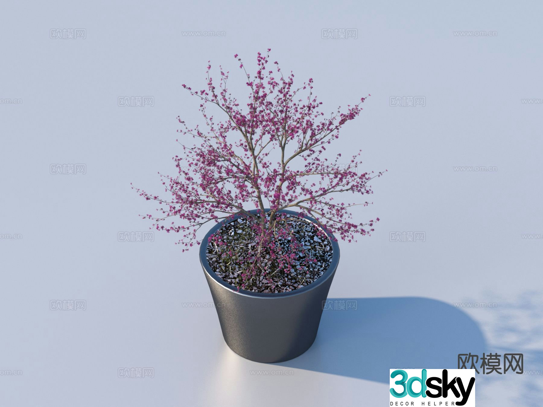 Flower pot pot green plants plant 3d model
