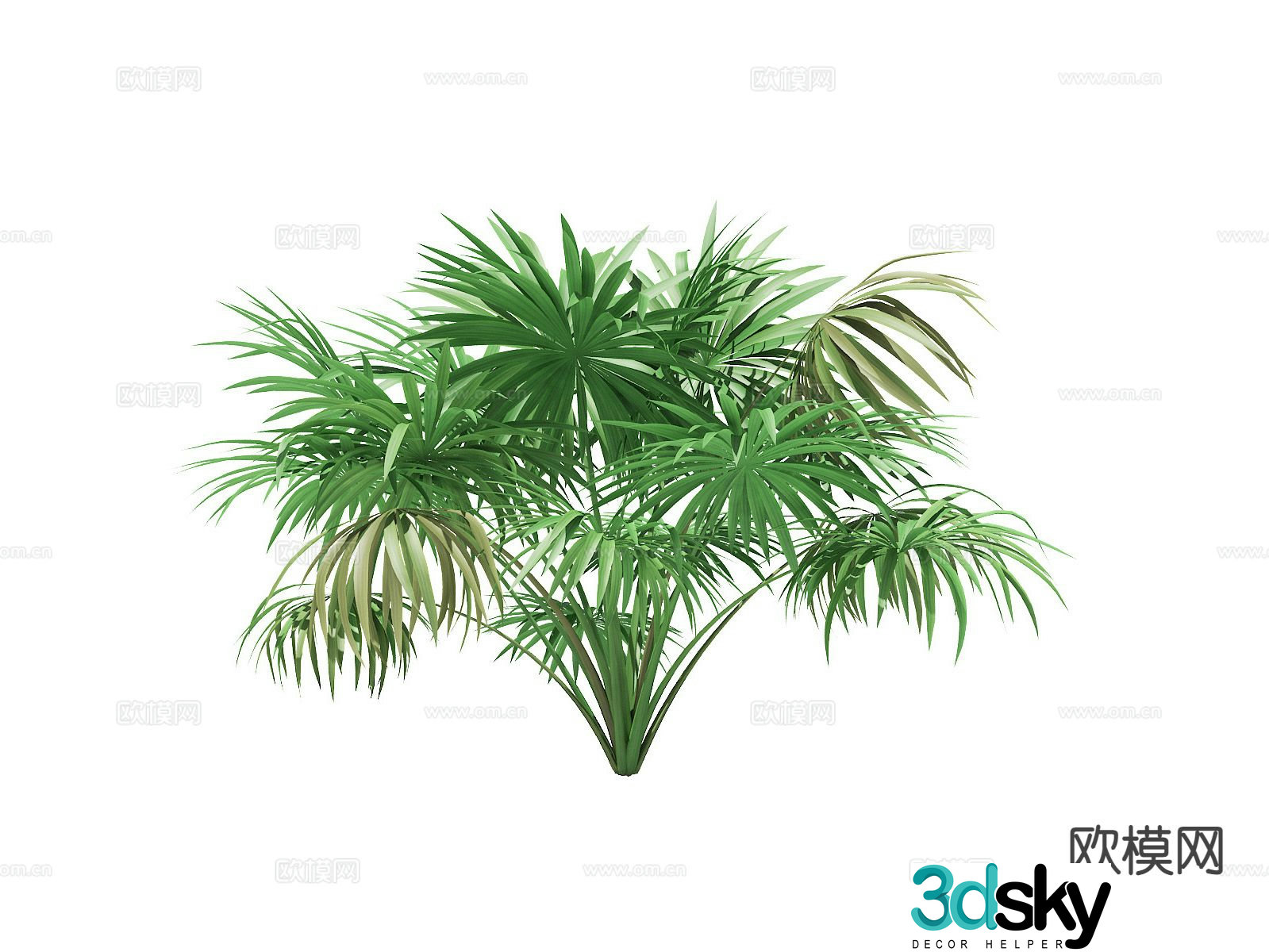 Flowers and plants outdoor green plants shrub 3d model