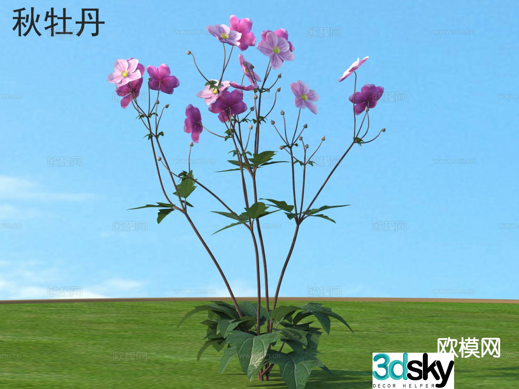 Autumn peony flowers and plants flowers 3d model
