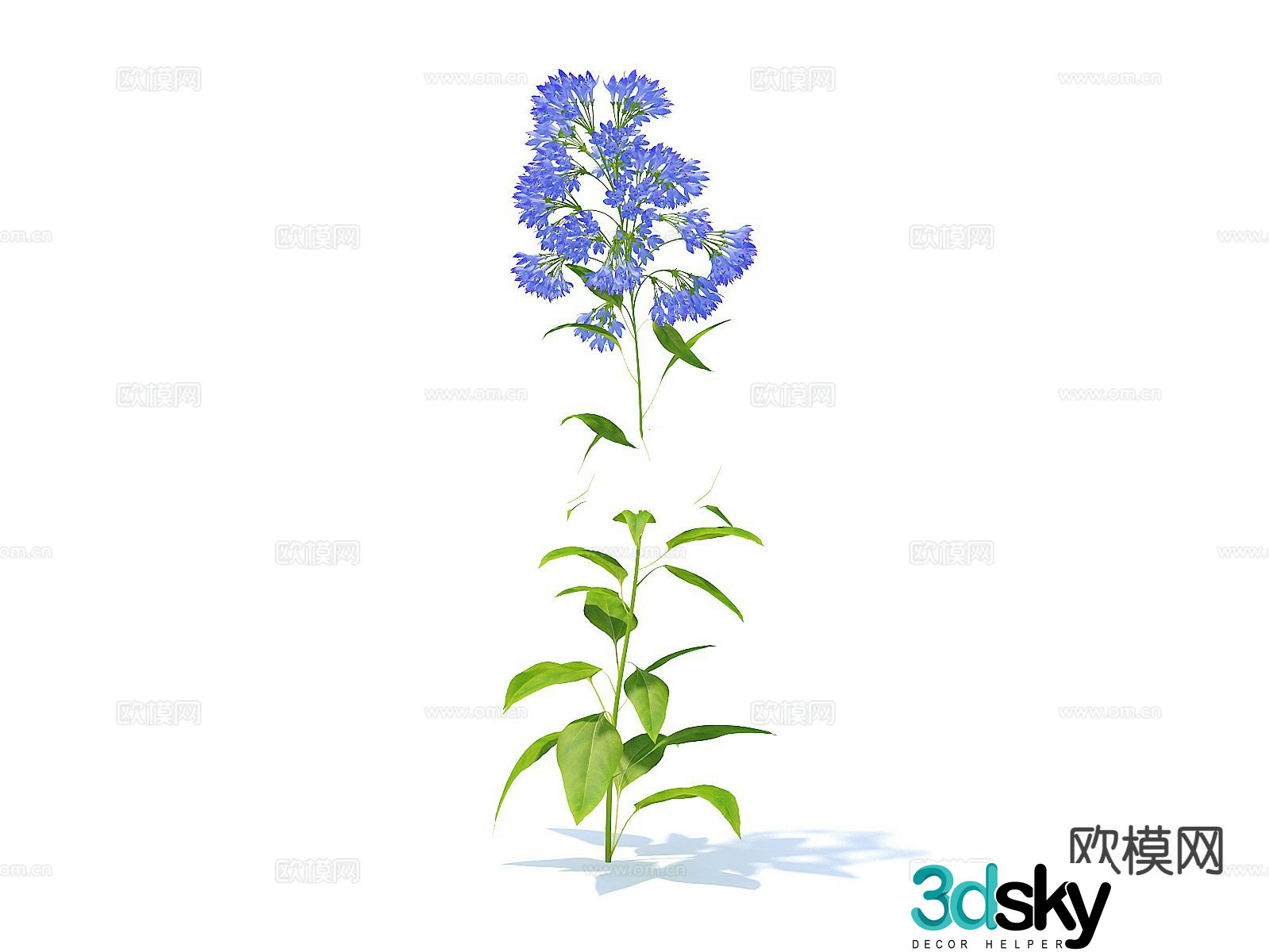 Flowers flowers plants green plants 3d model