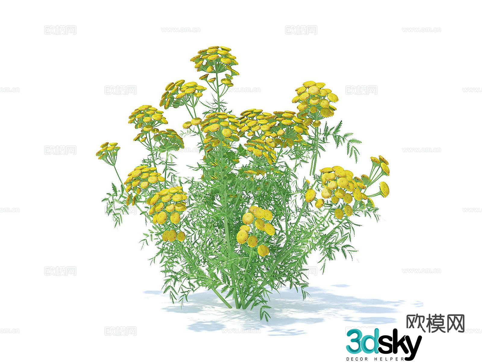 Flowers flowers plants yellow flowers bouquet 3d model