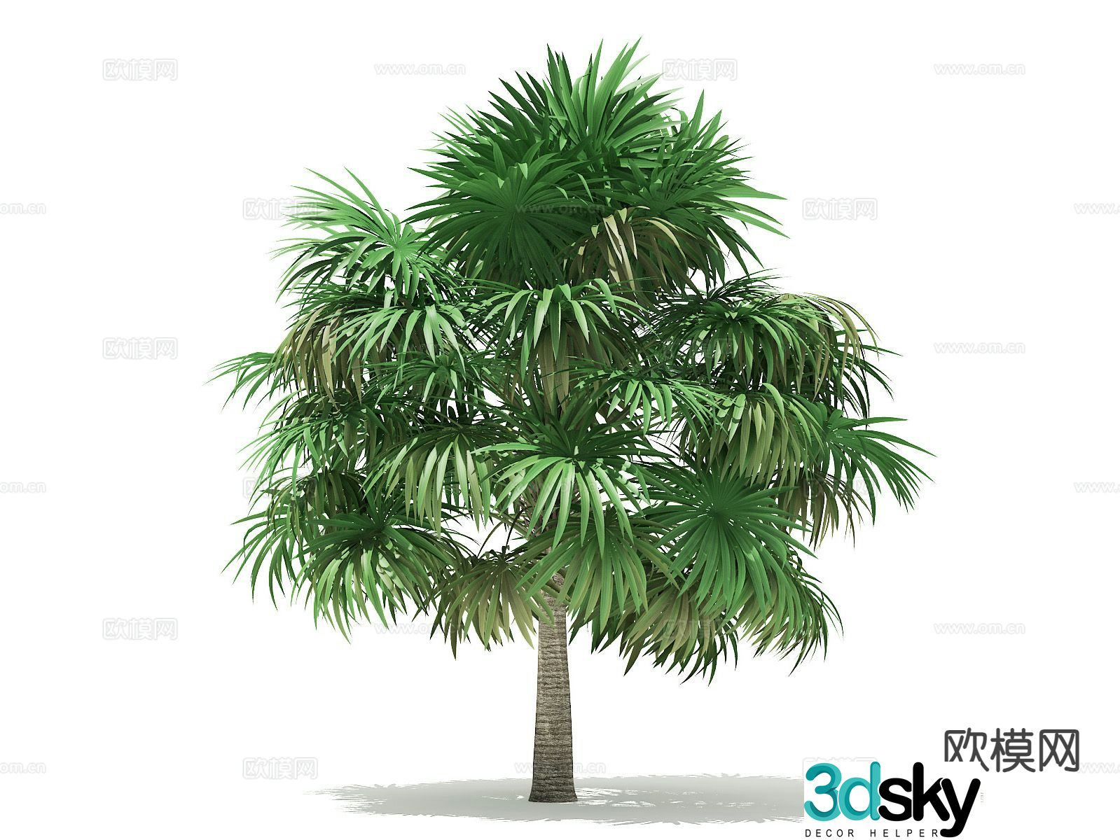 Landscape tree Palm tree Walking tree Tree Tropical tree 3d model