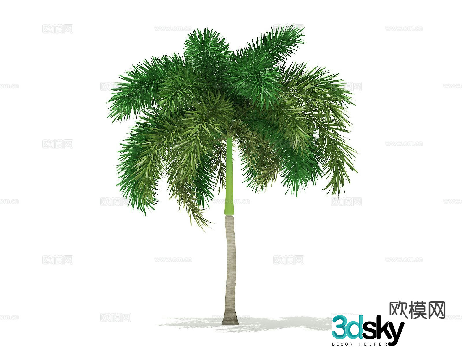 Trees Landscape Trees Street Trees Palm Trees 3D Model