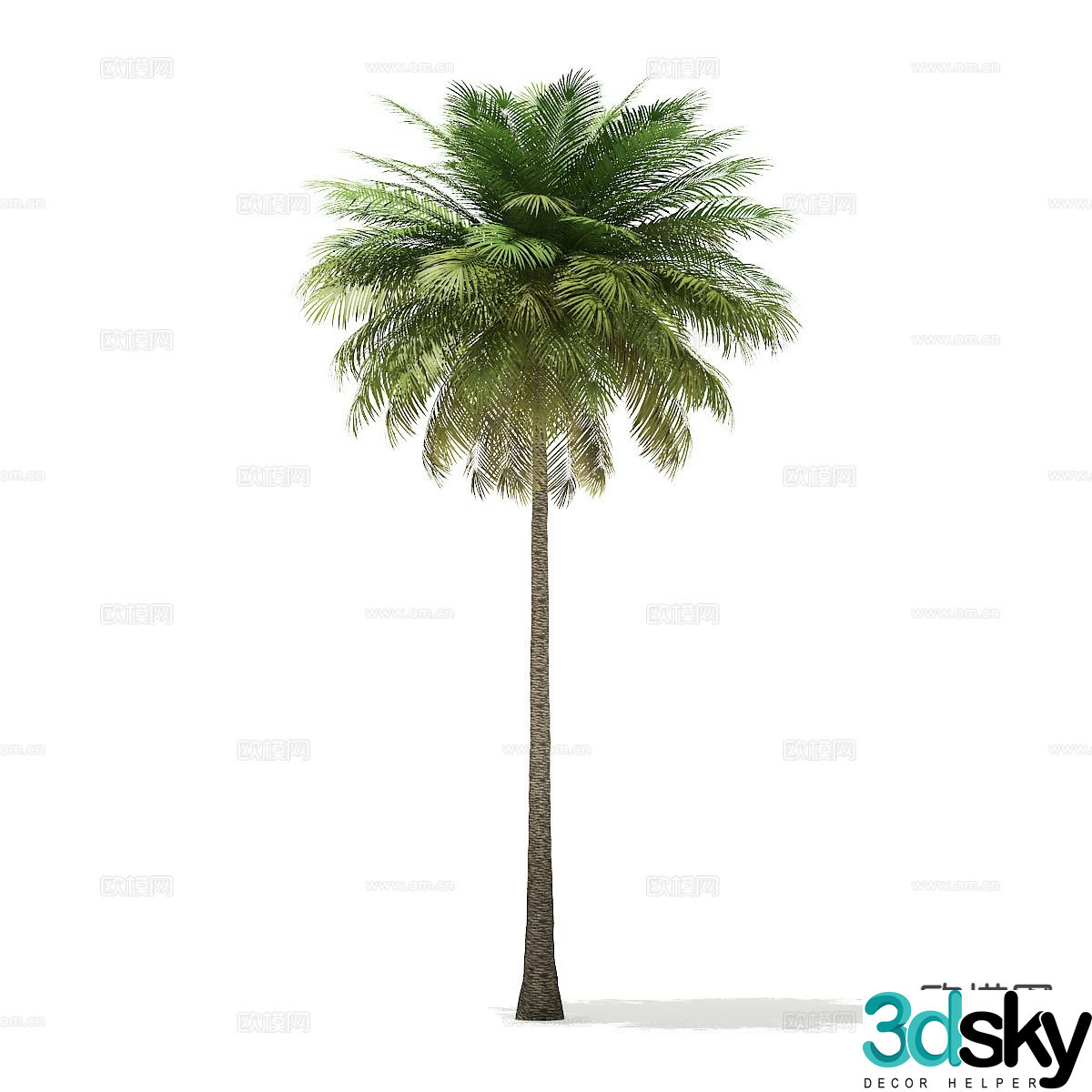 Trees Landscape Trees Street Trees Palm Trees 3D Model
