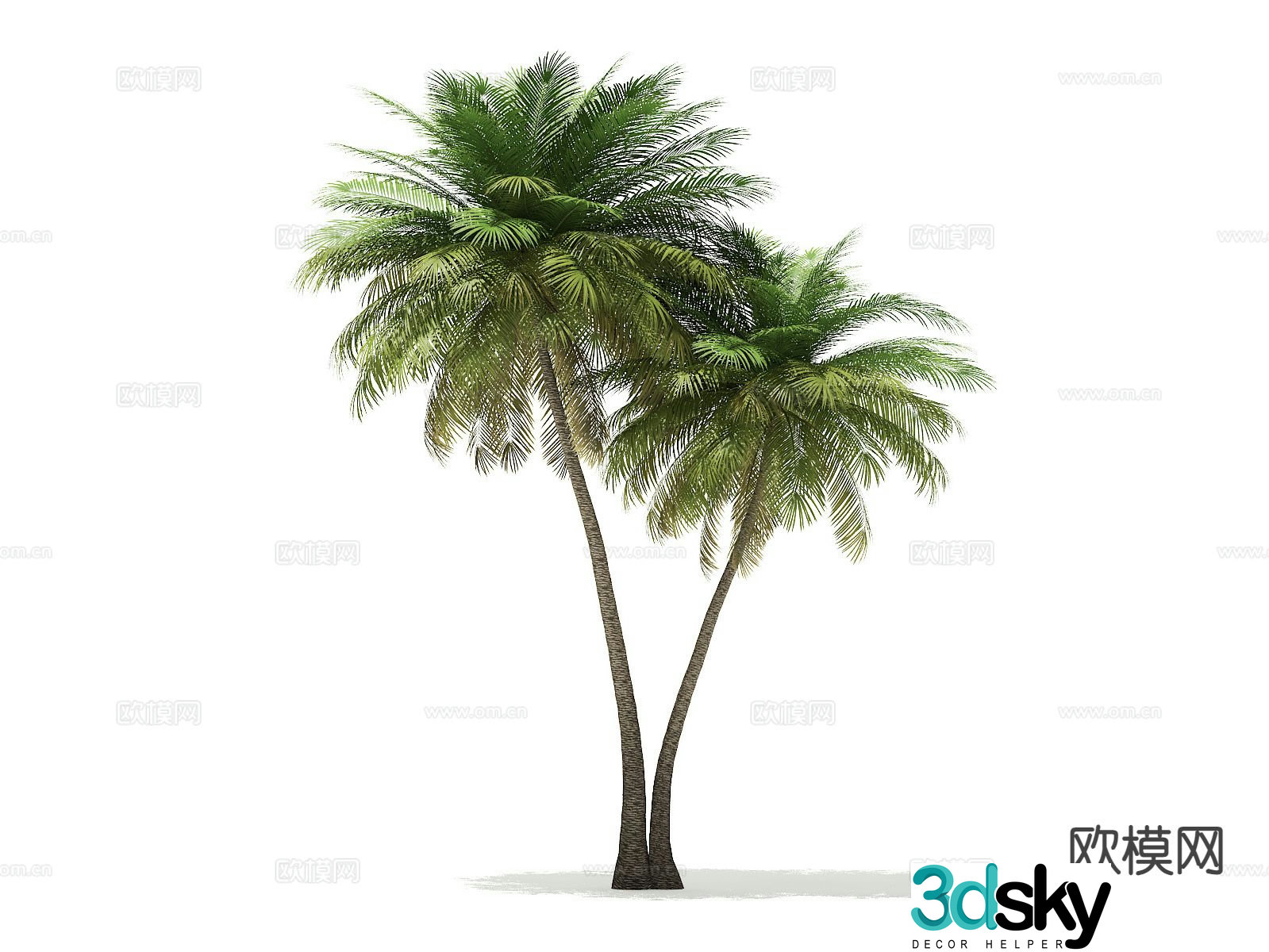 Trees Landscape Trees Street Trees Palm Trees 3D Model