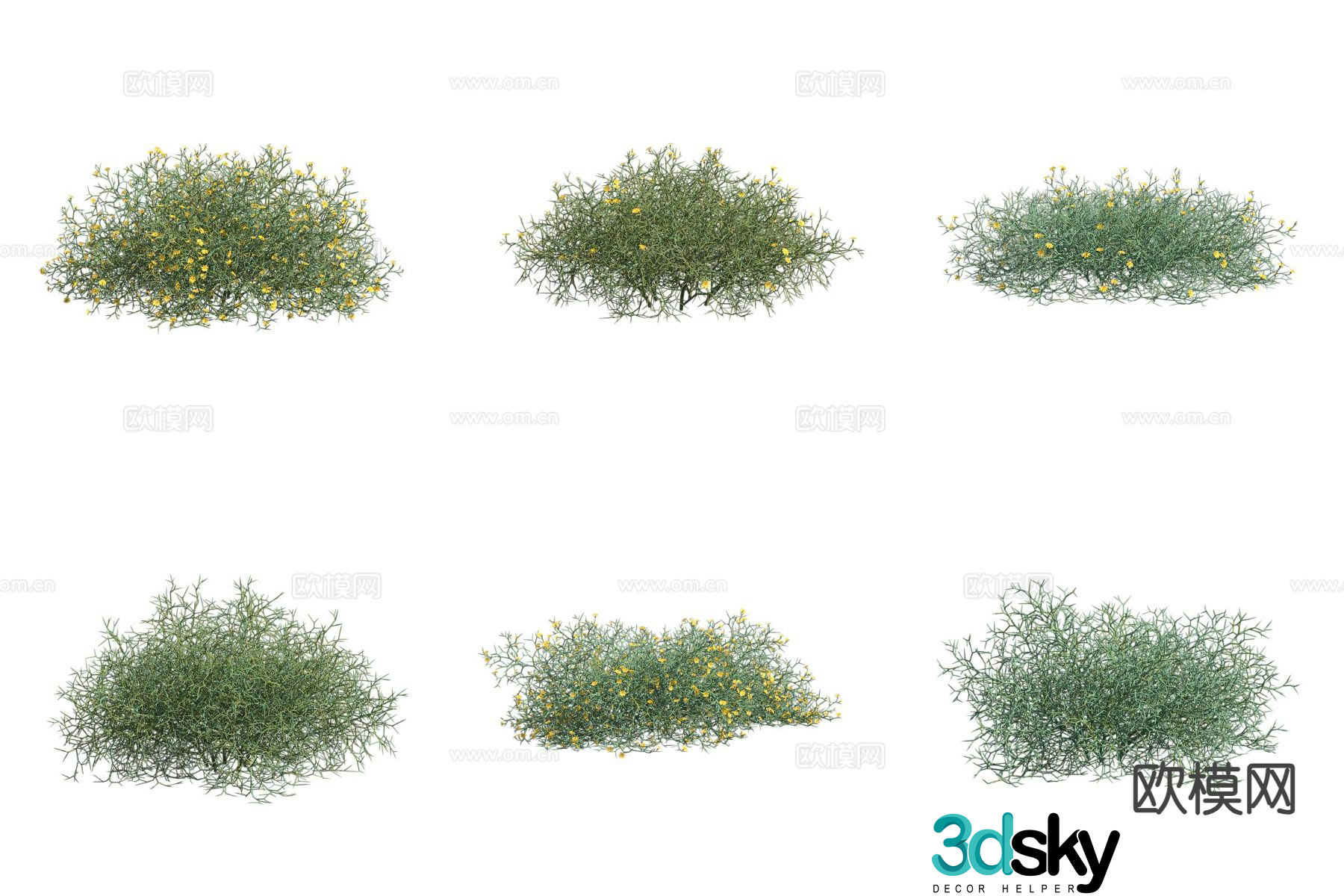 Hexi chrysanthemum shrub 3d model