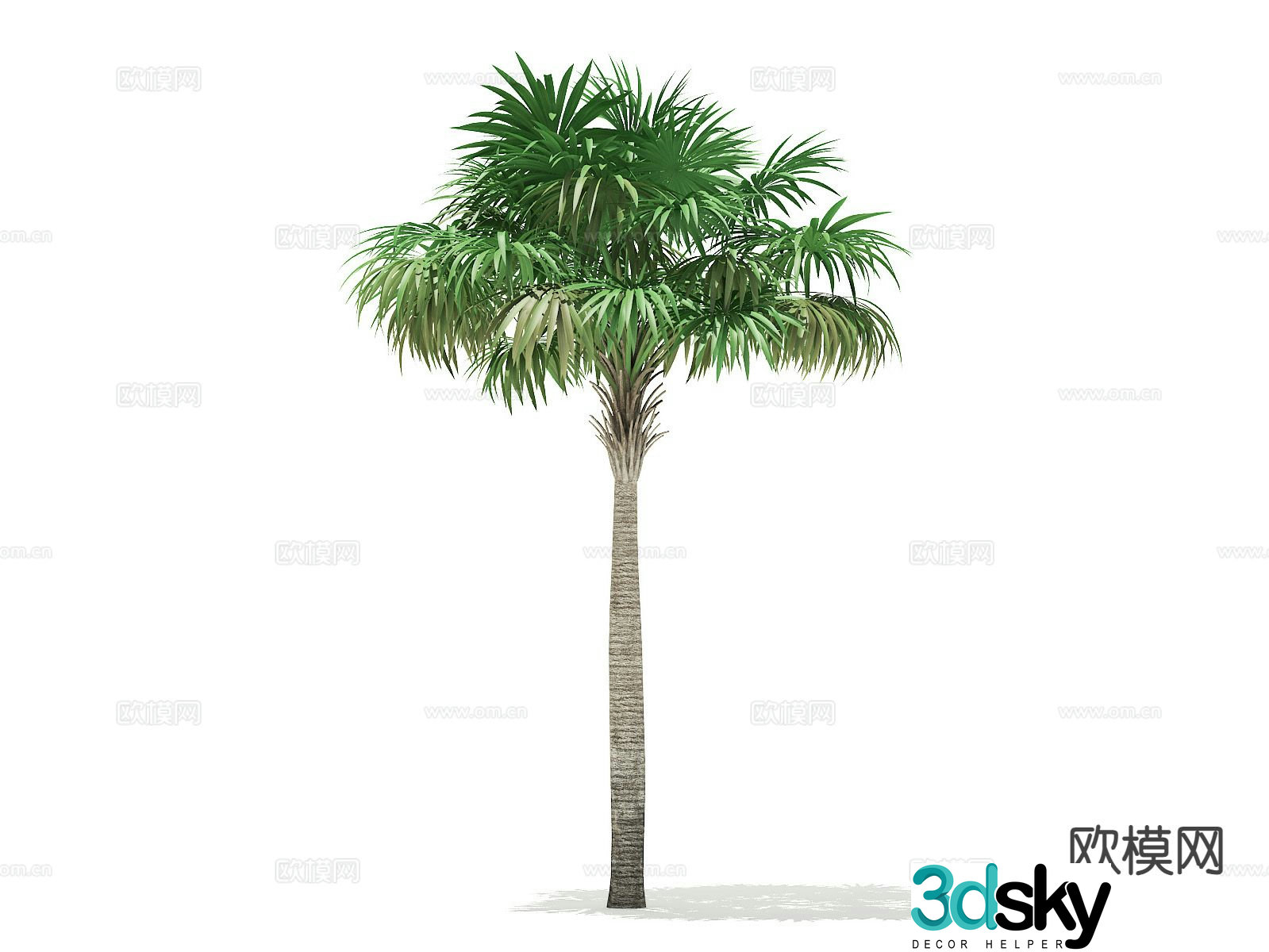 Landscape tree Palm tree Walking tree Tree 3d model
