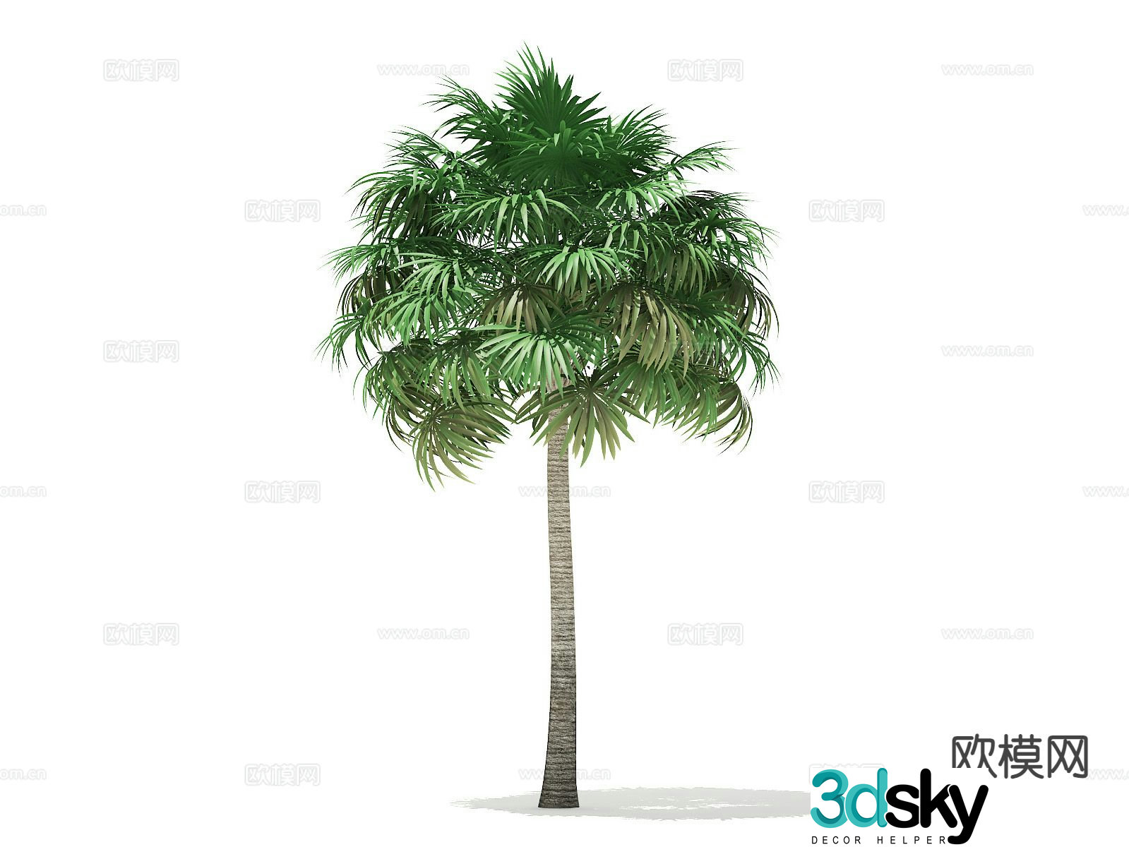 Landscape tree Palm tree Walking tree Tree 3d model