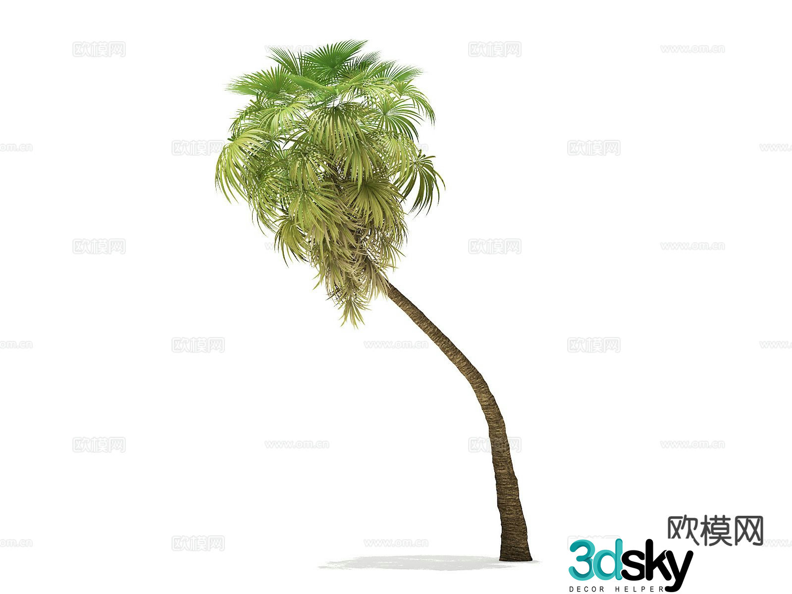 Landscape tree Palm tree Walking tree Tree Tropical tree 3d model