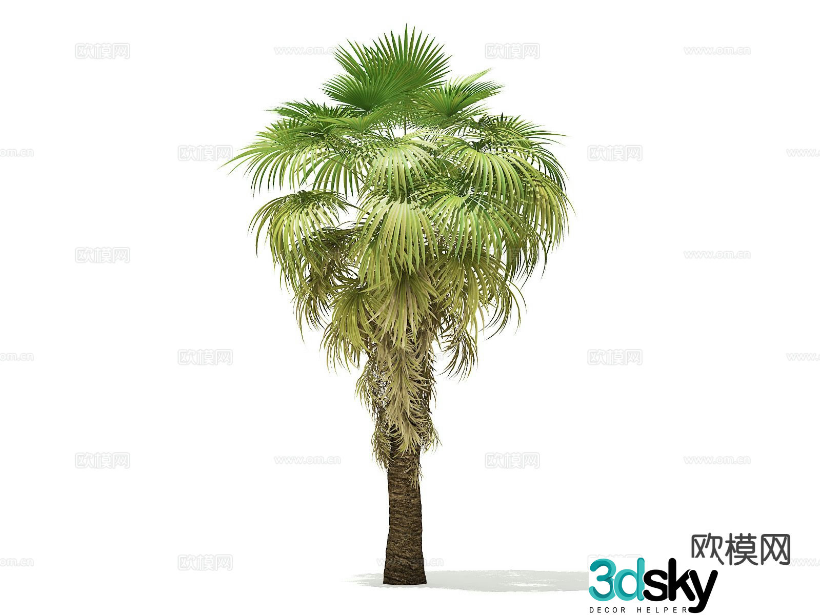 Landscape tree Palm tree Walking tree Tree Tropical tree 3d model