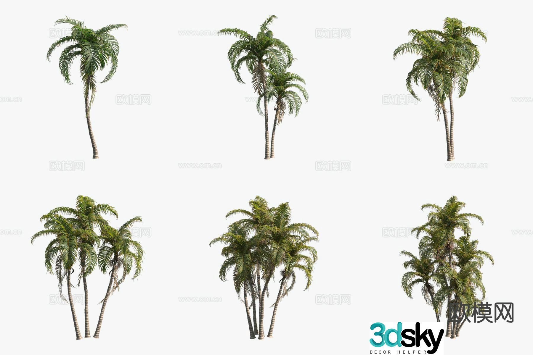 Peach Coconut Thorn Palm Tree Tropical Tree 3D Model
