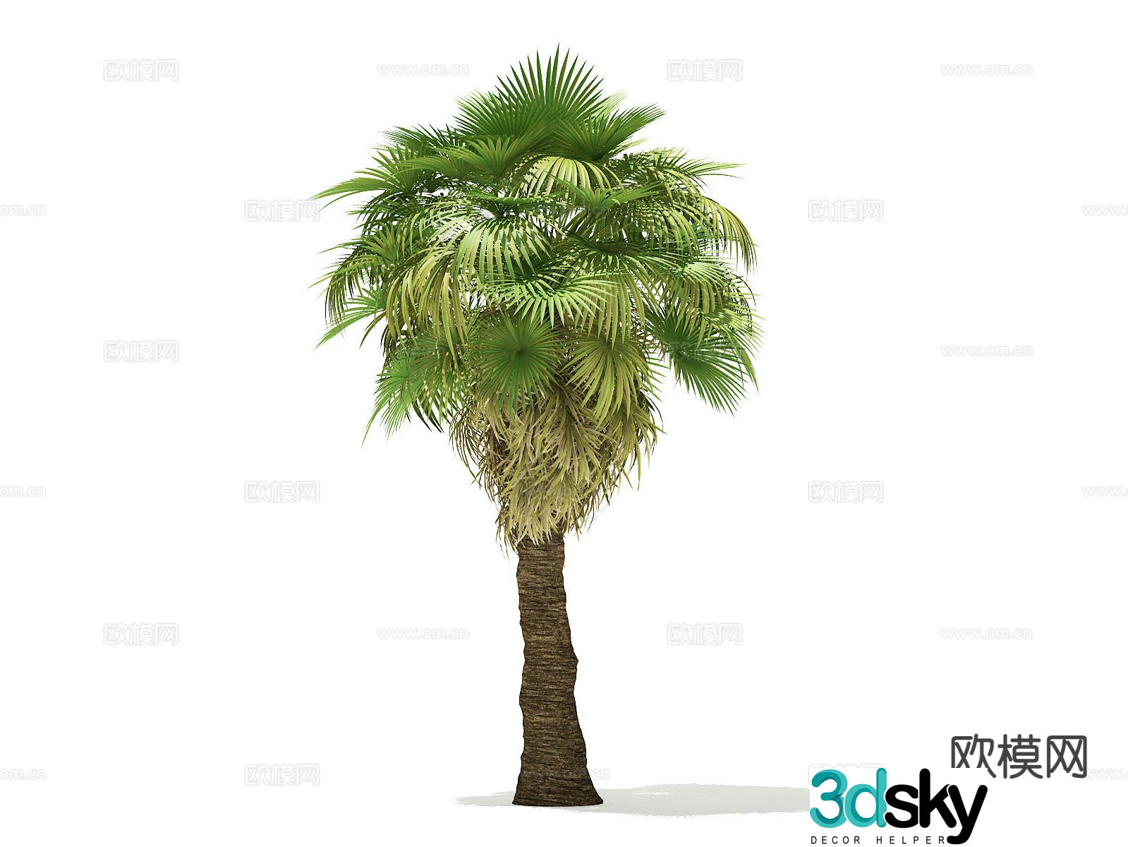 Landscape tree Palm tree Walking tree Tree Tropical tree 3d model
