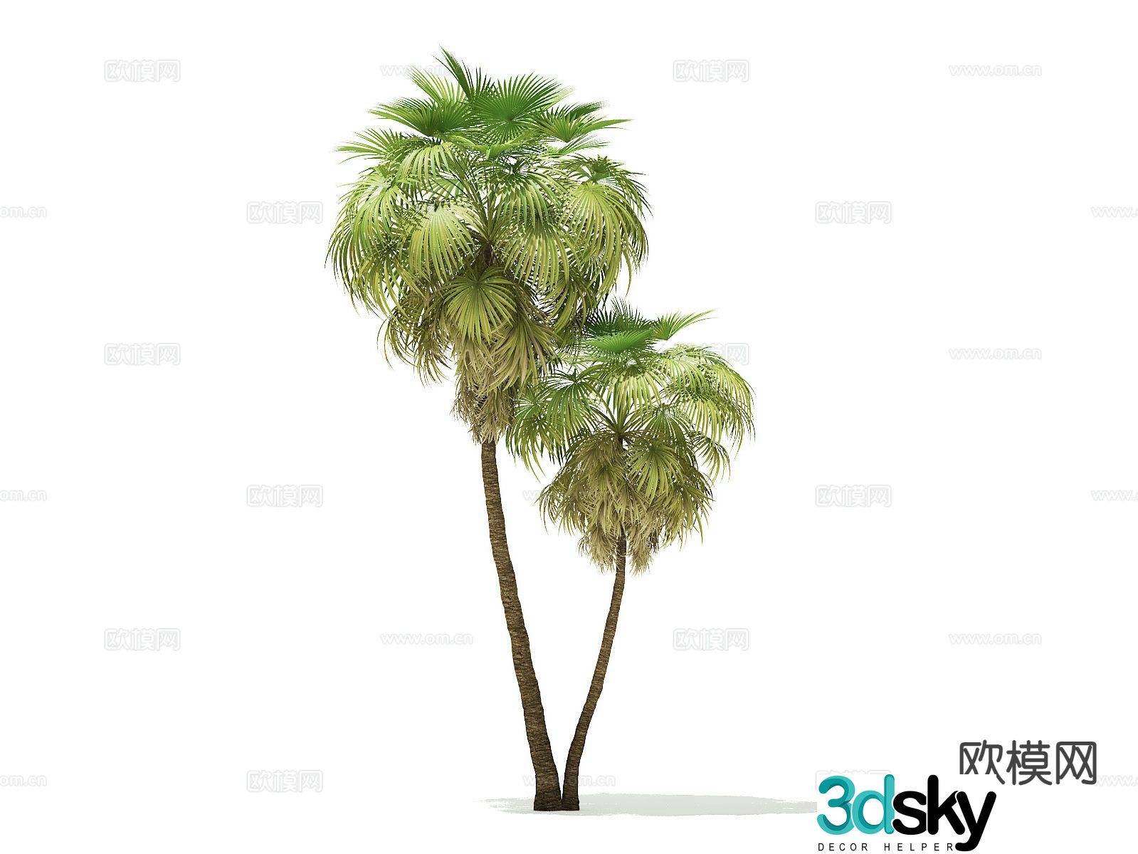 Landscape tree Palm tree Walking tree Tree Tropical tree 3d model