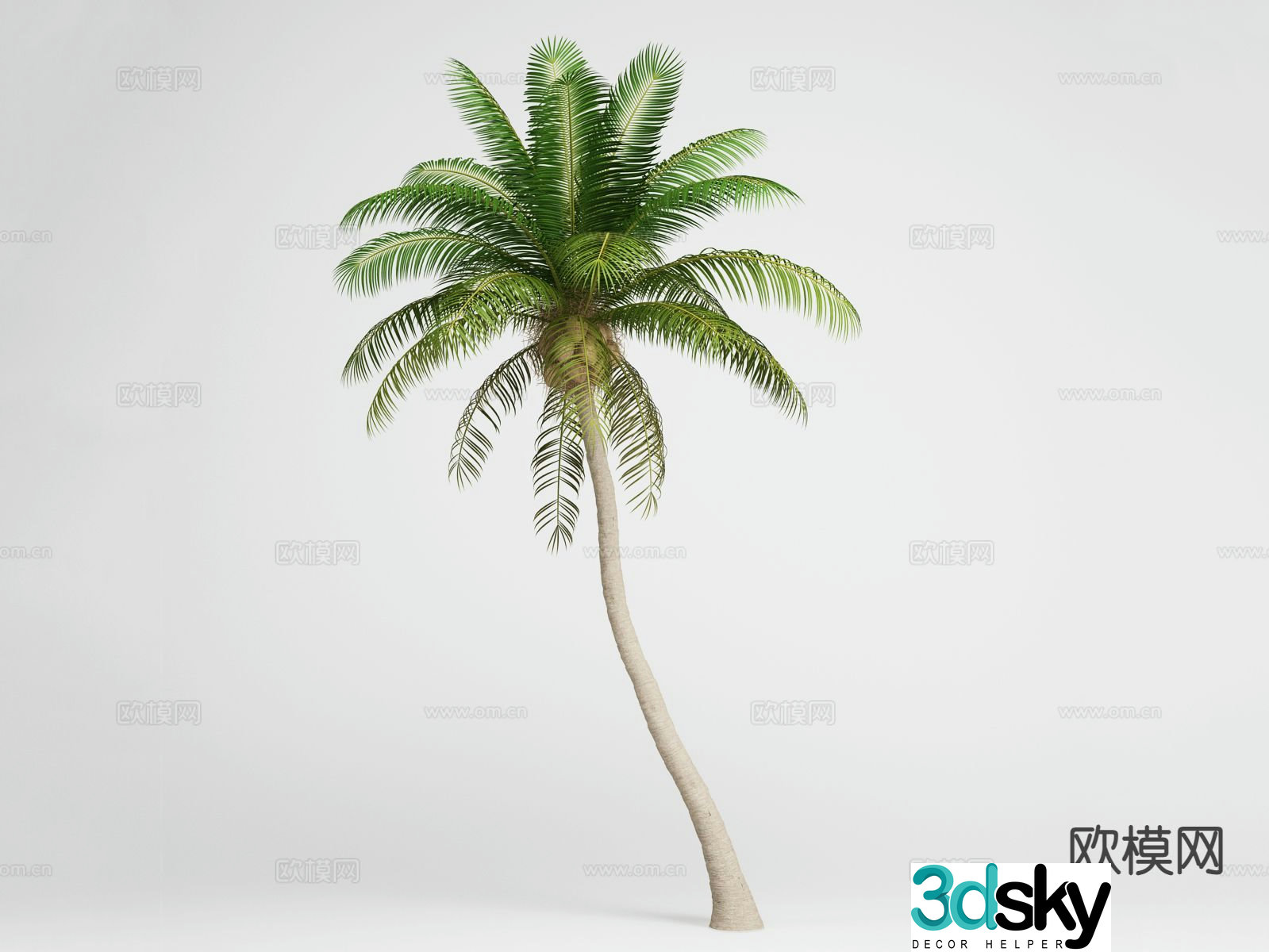 Landscape tree Coconut tree Palm tree Tree 3d model