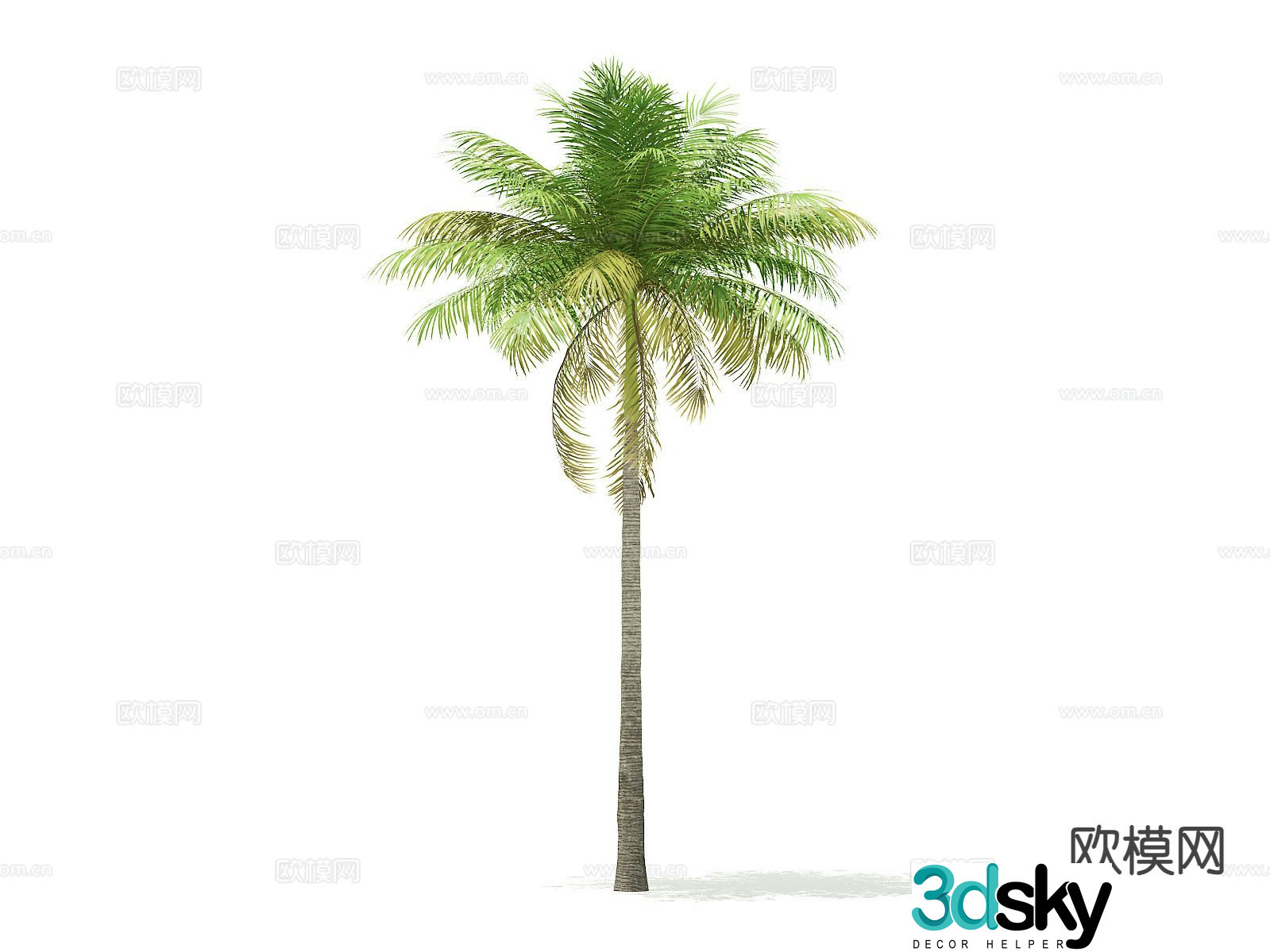 trees landscape trees arbor street trees palm trees 3d model