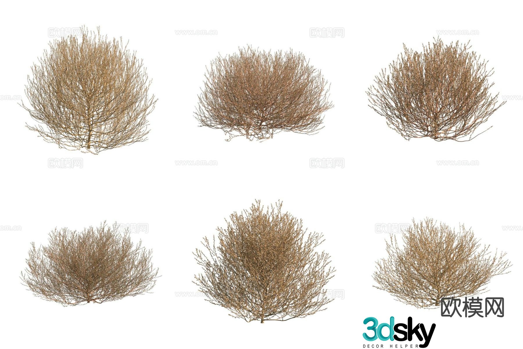 Tumbleweed Shrub 3d Model