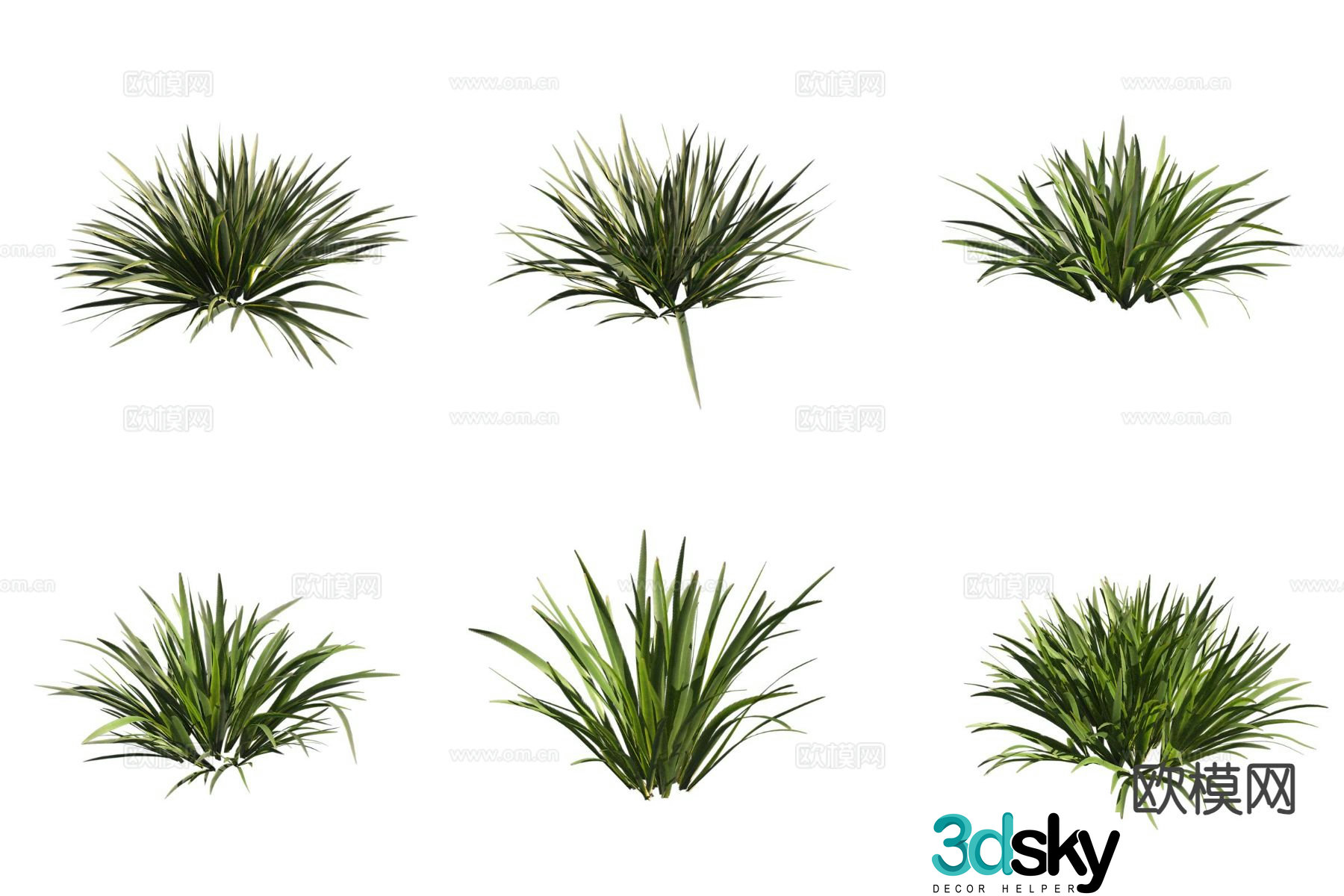 3D model of calamus flowers and plants