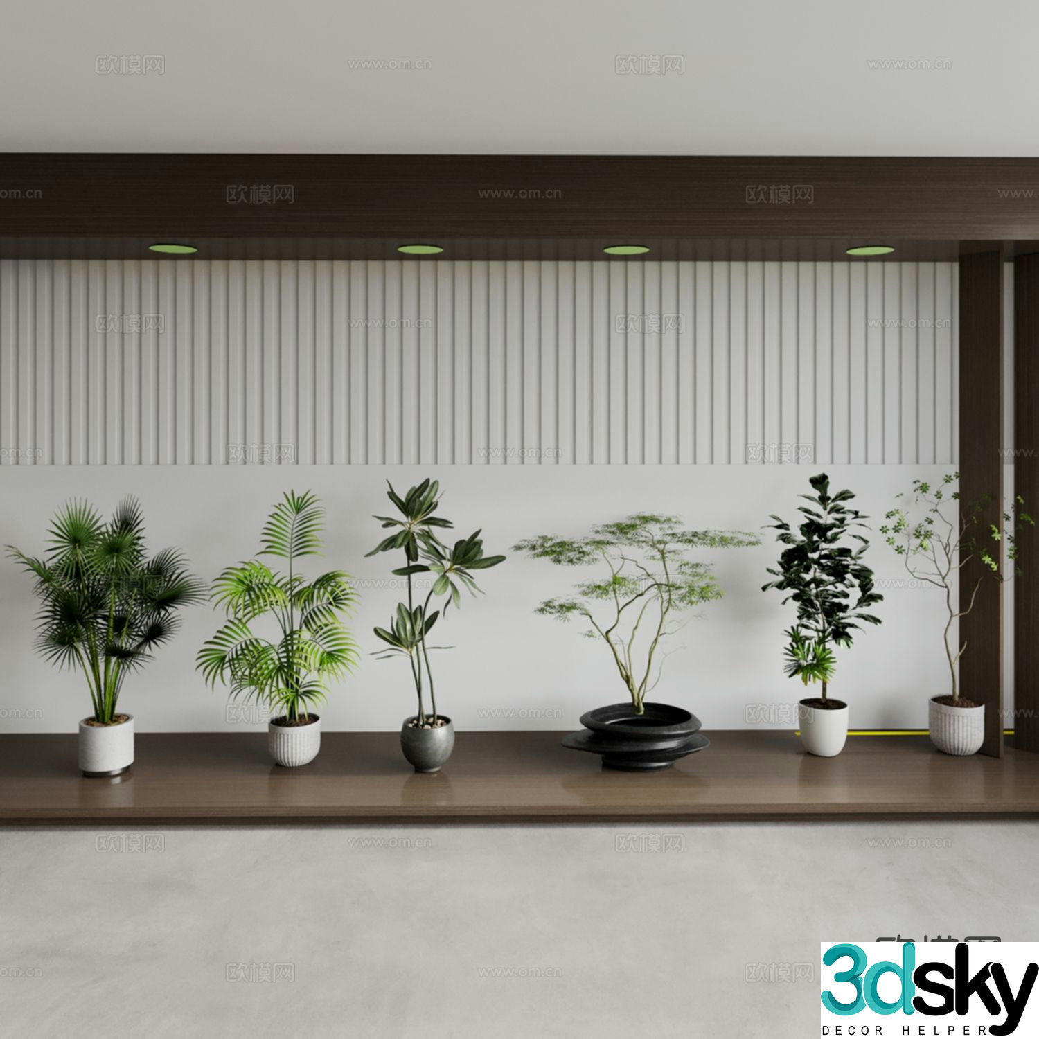 Potted plant Round-leaf Plum Blossom Rubber Tree Wenzhu Nantianzhu Santai Plum Blossom Blossom 3D model