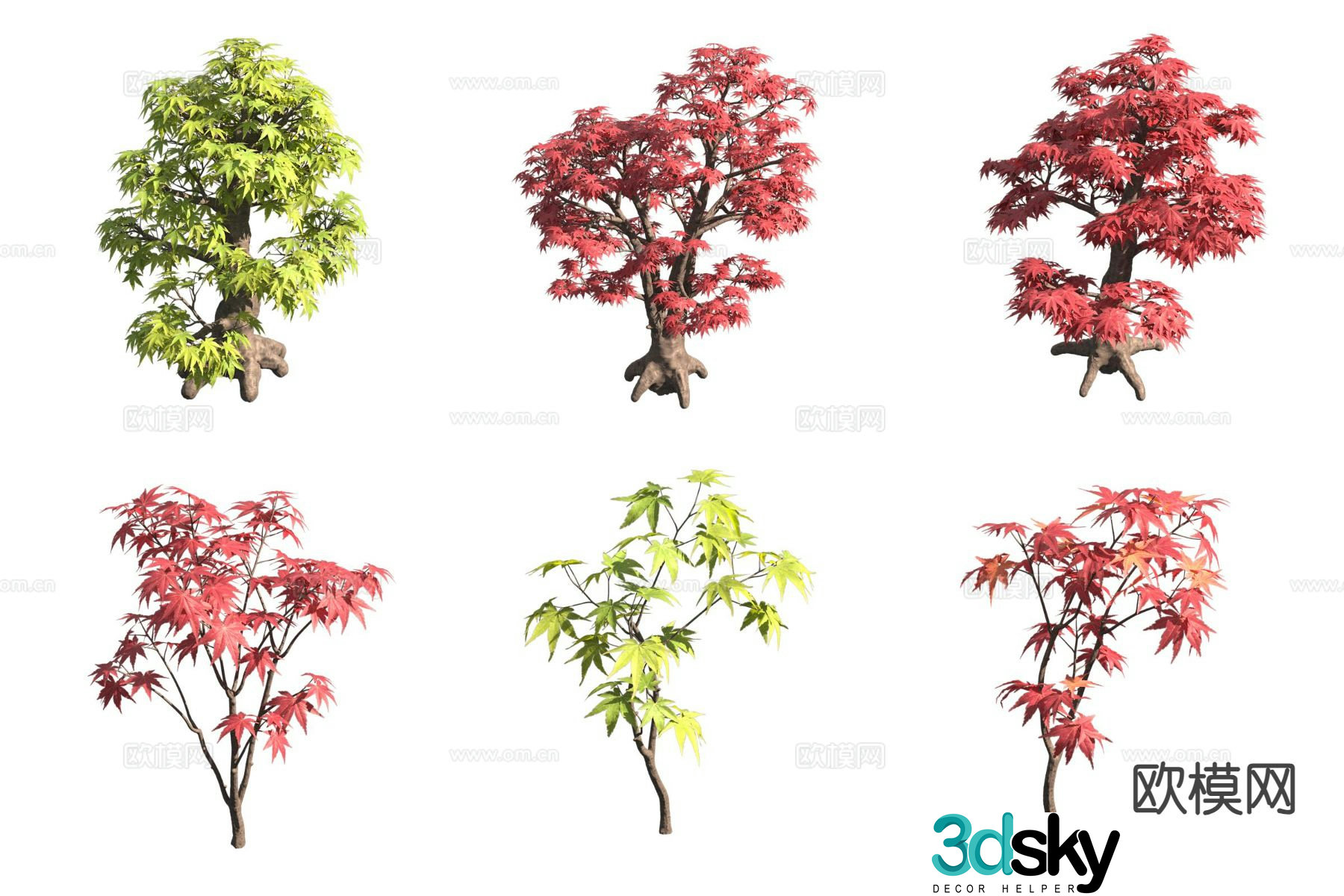 Acer flower tree landscape tree 3d model