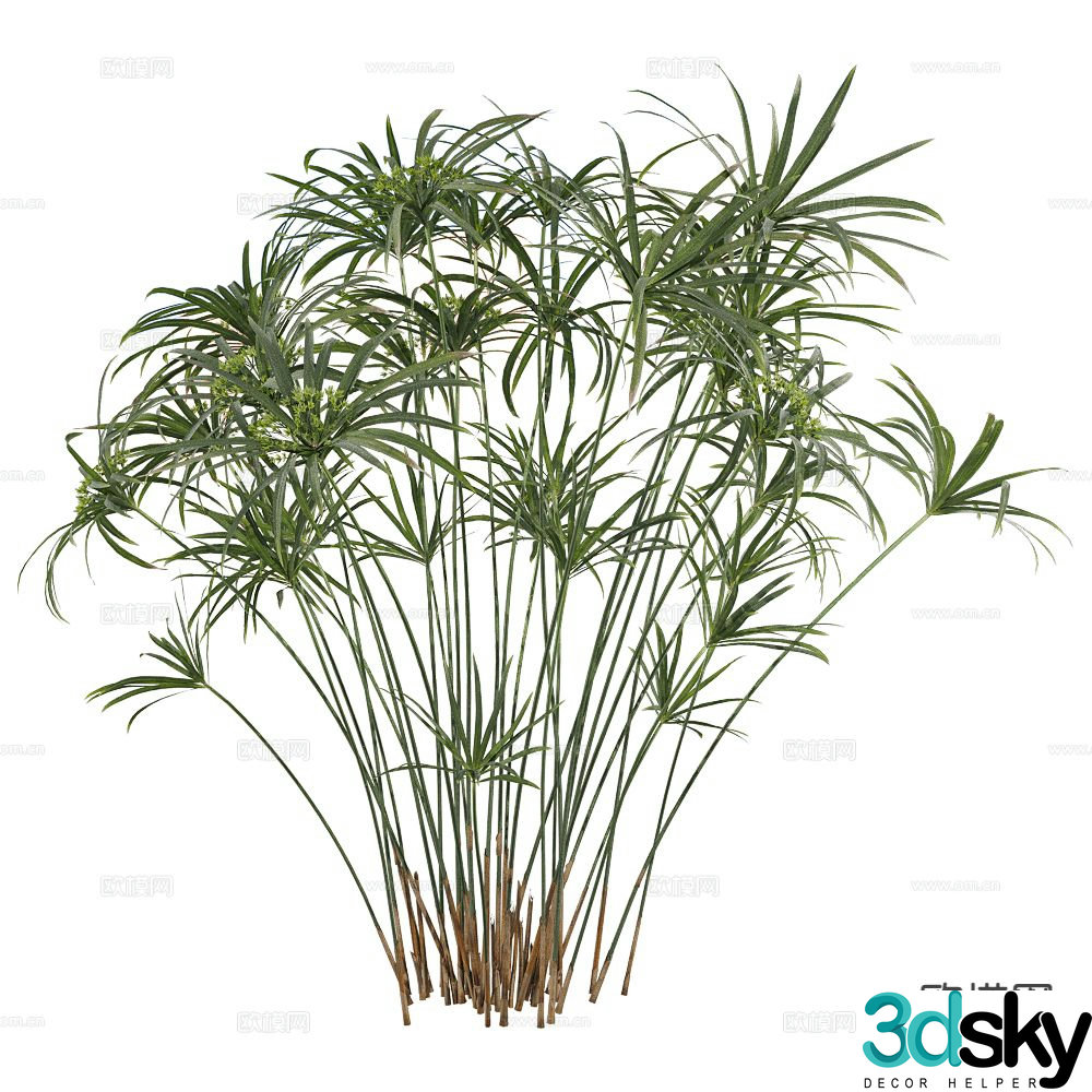 Modern bamboo landscape tree rich bamboo 3d model
