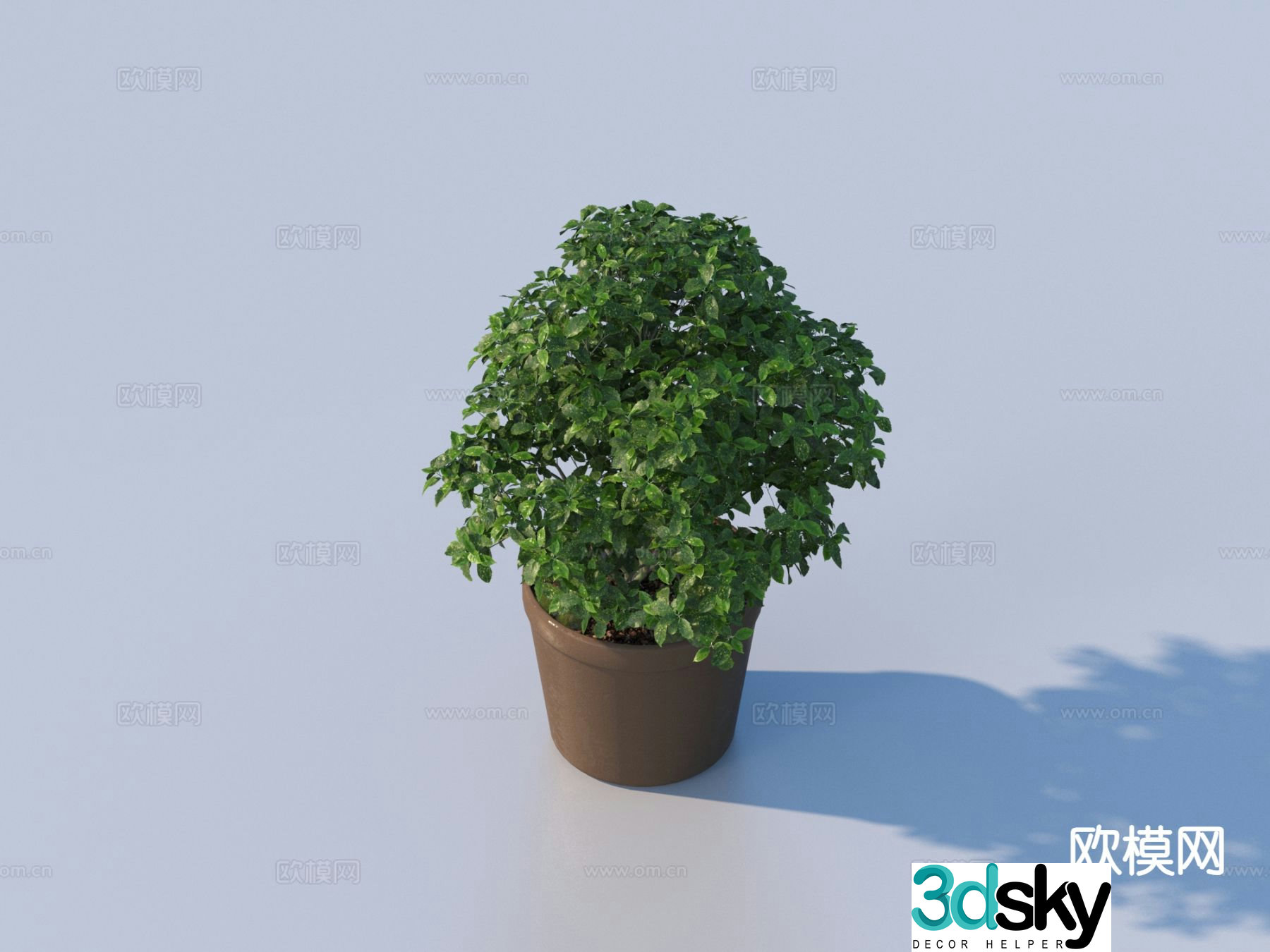 flowerpot potted plant green plant plant 3d model