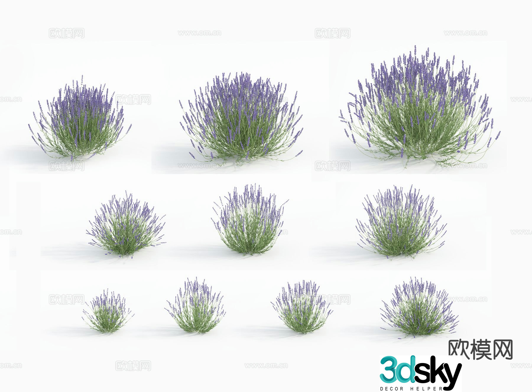 Flowers Flowers and plants 3d model
