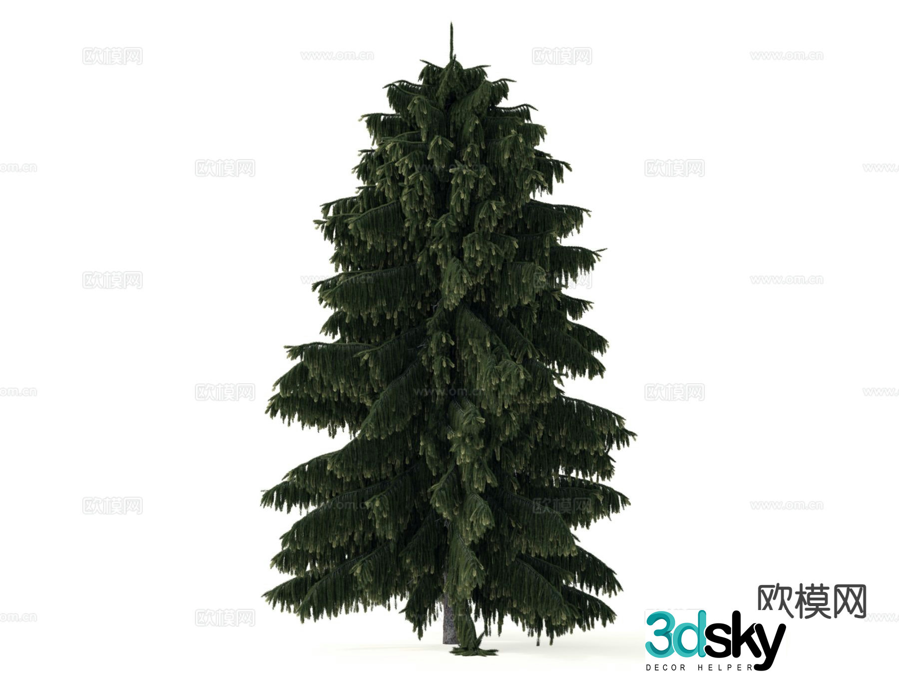 Pine Tree Tree Cypress 3d Model