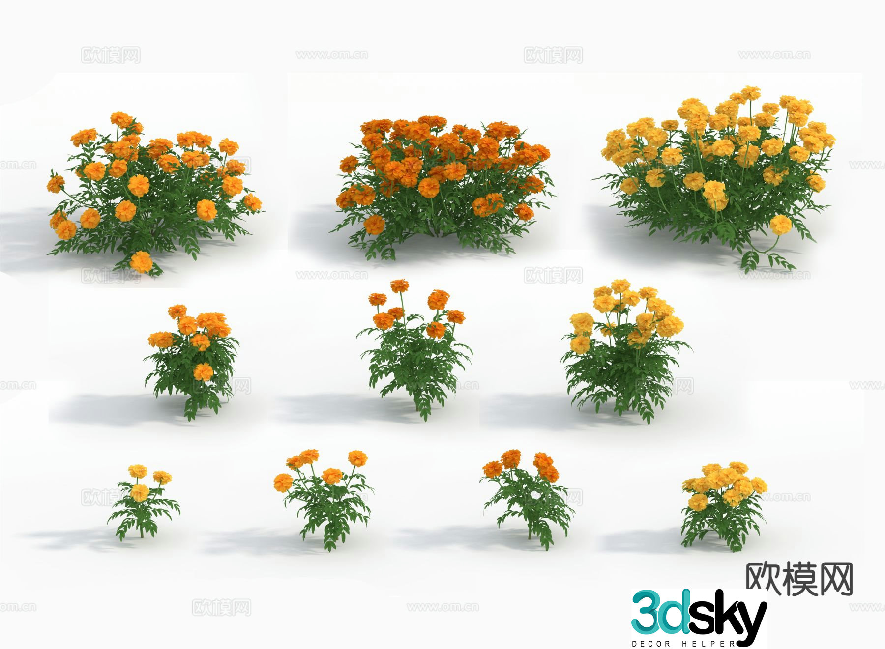 Flowers flowers plants wildflowers 3d model