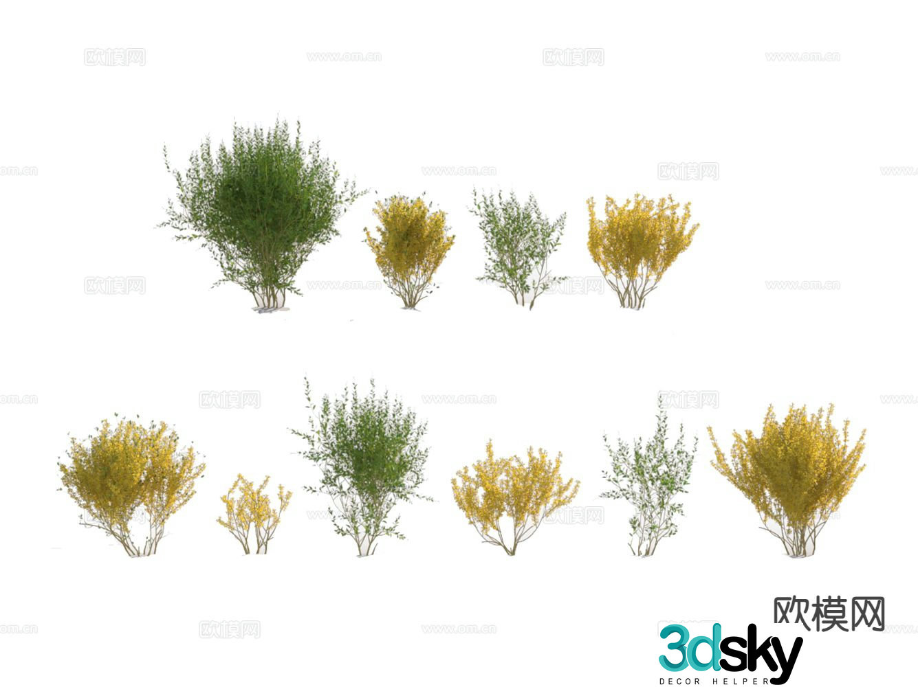 3d model of bush