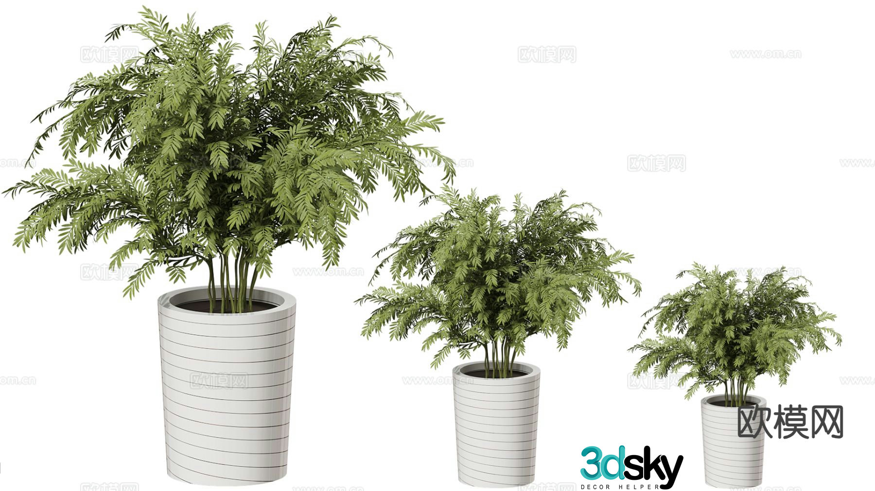 Potted plants indoor green plants office green plants plant ornaments 3D model