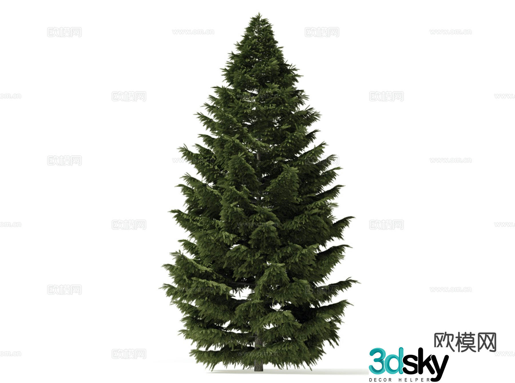 Pine Tree Tree Cypress 3d Model