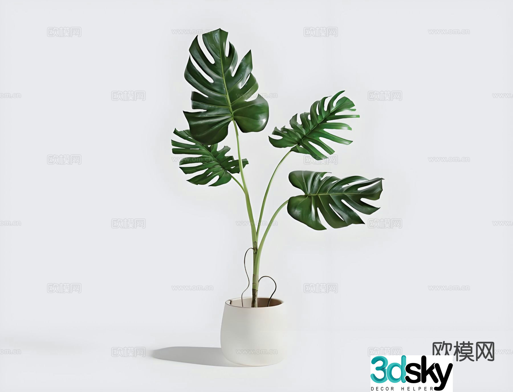 monstera potted green plant 3d model