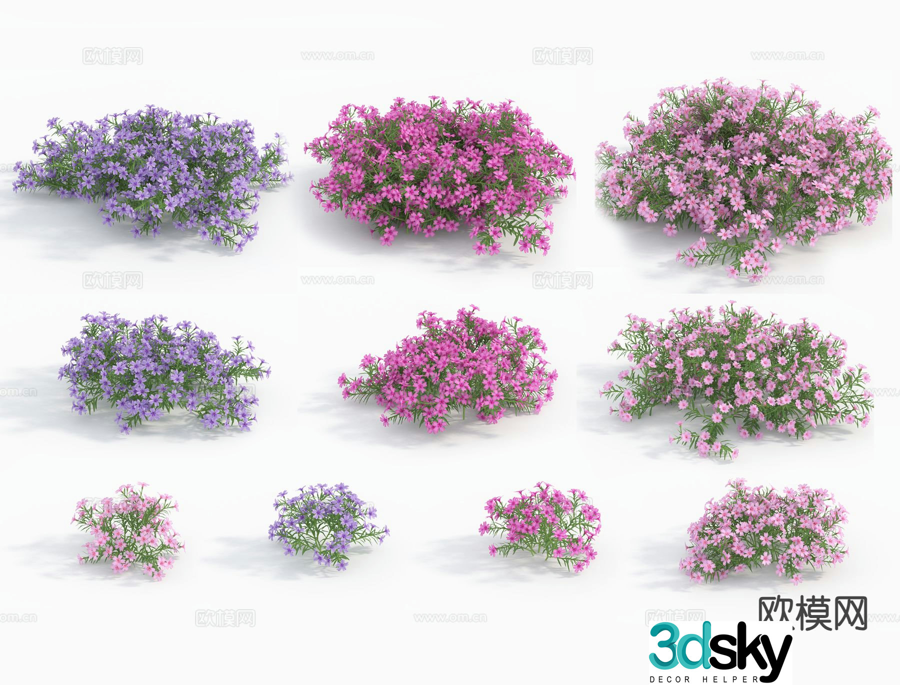 flower flowers 3d model