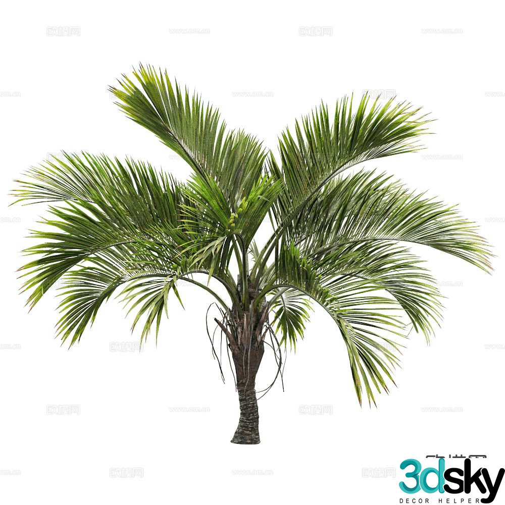Modern Tree Landscape Tree Shrub Plant 3D Model