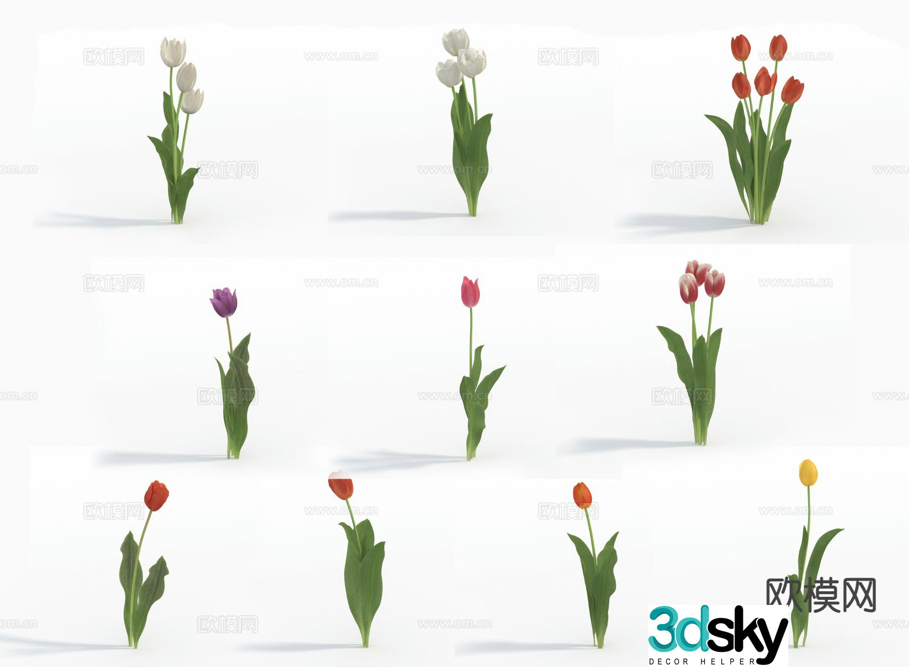 Tulips Flowers Flowers 3D Model