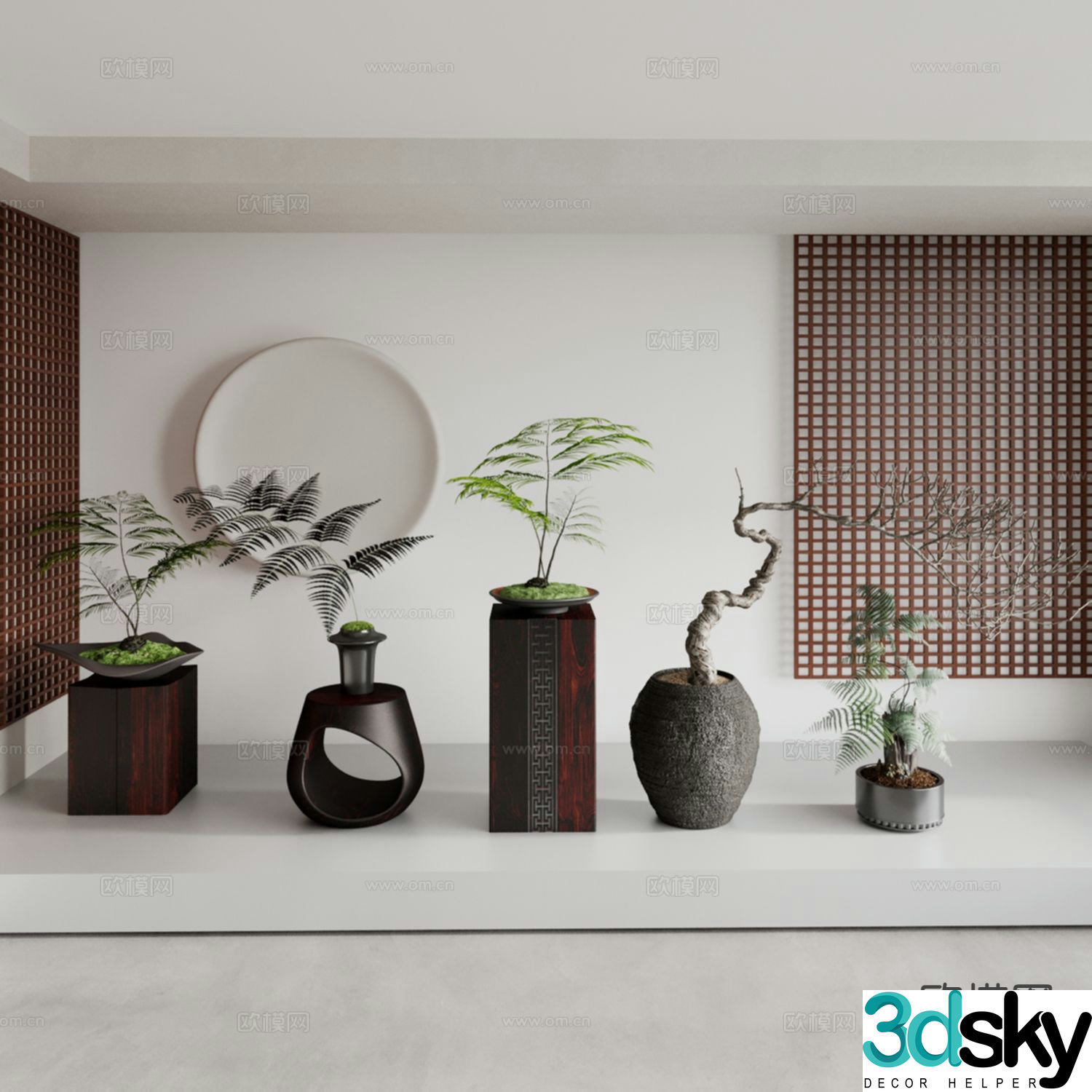 Chinese bonsai shaped bonsai asparagus bonsai 3d model