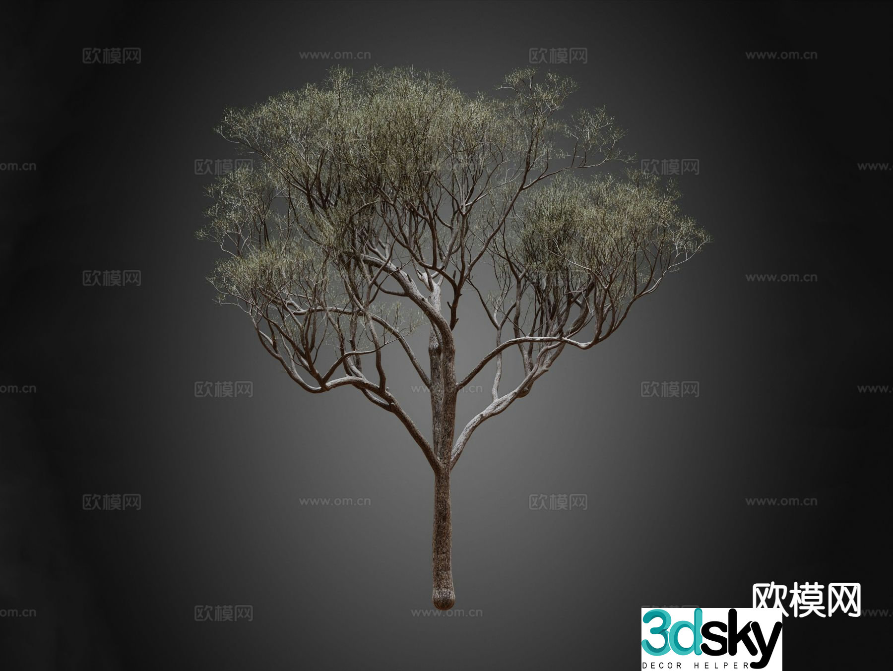 Trees Trees Street Tree Landscape Trees 3D Model