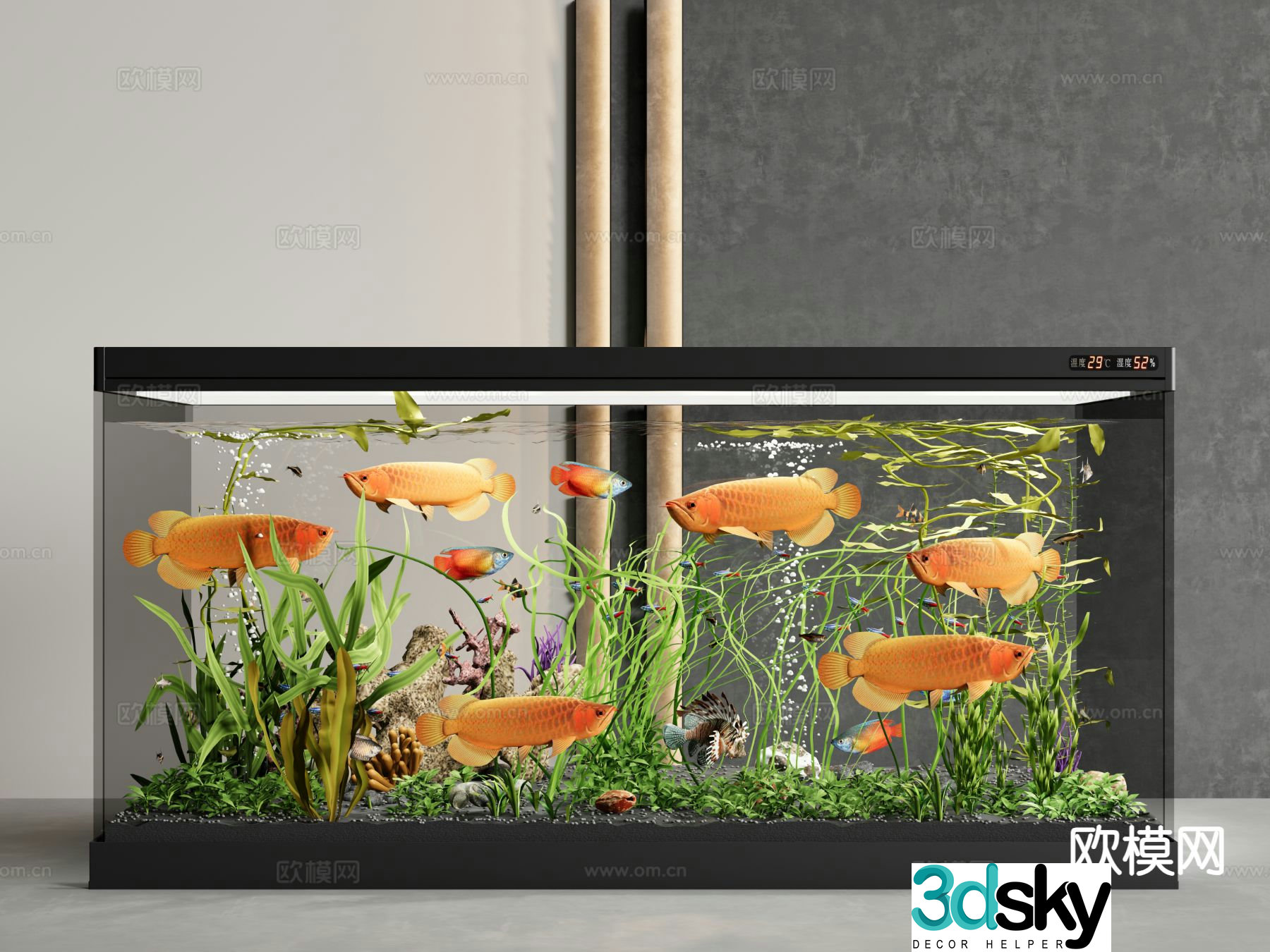 fish tank aquarium ornamental fish 3d model