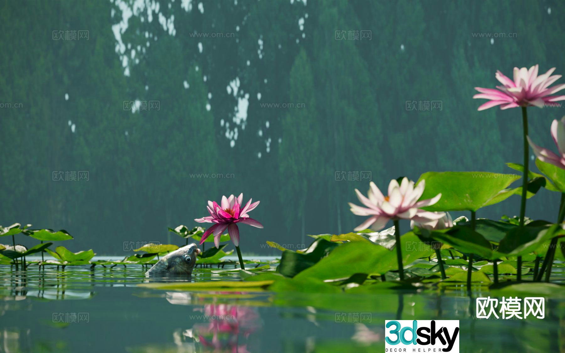 lotus pond lotus carp 3d model
