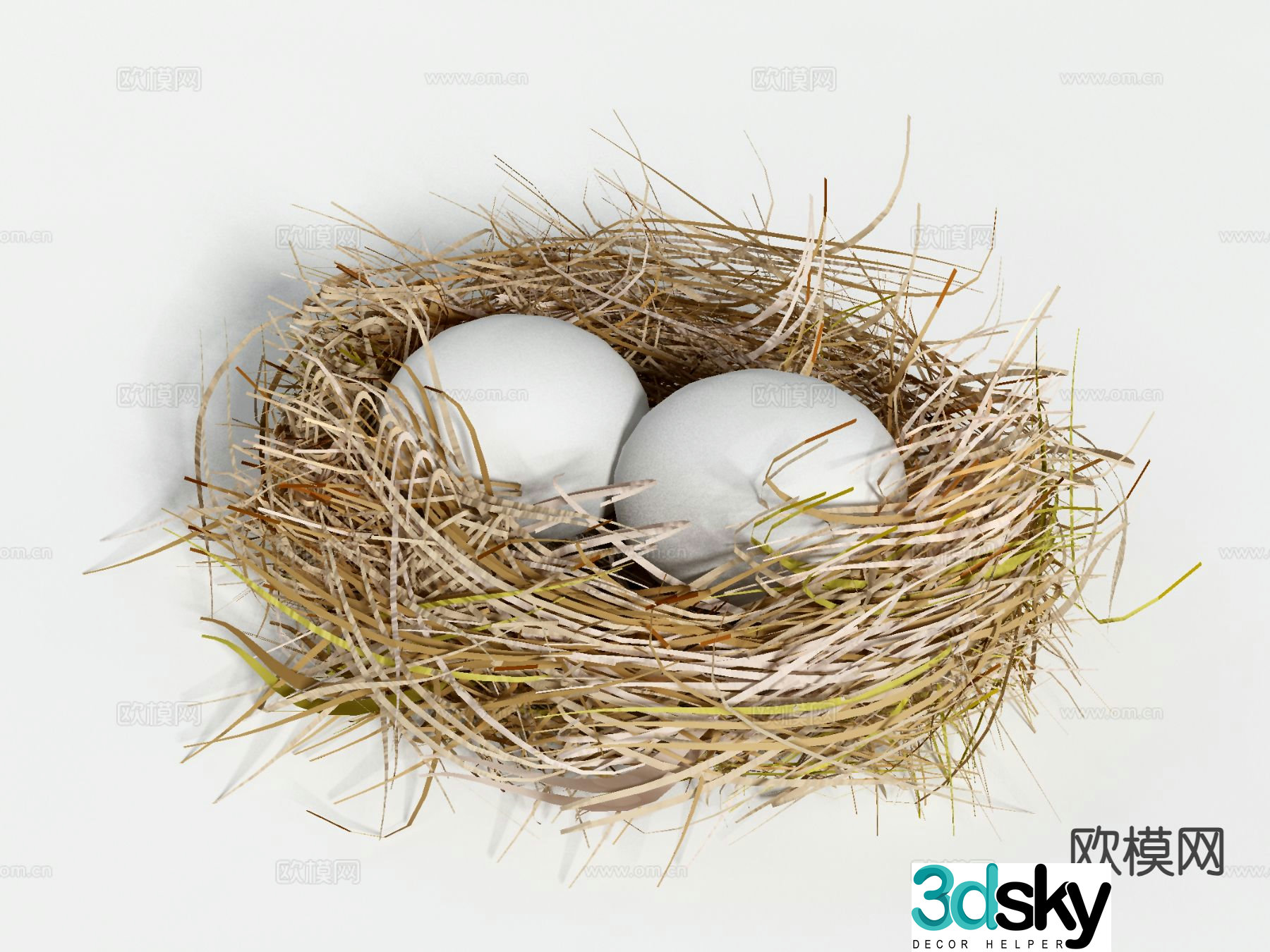 bird nest bird egg egg 3d model